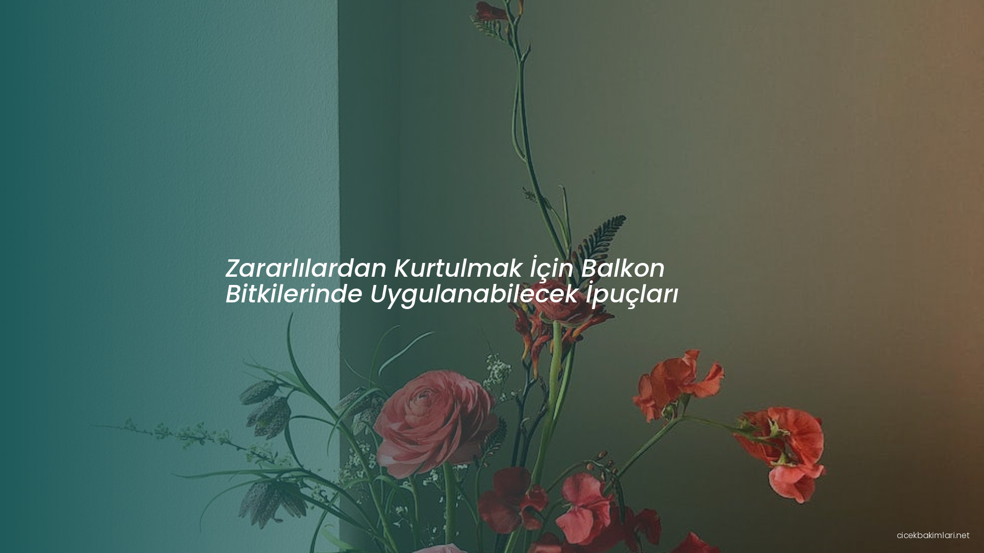 Zararlılardan Kurtulmak İçin Balkon Bitkilerinde Uygulanabilecek İpuçları