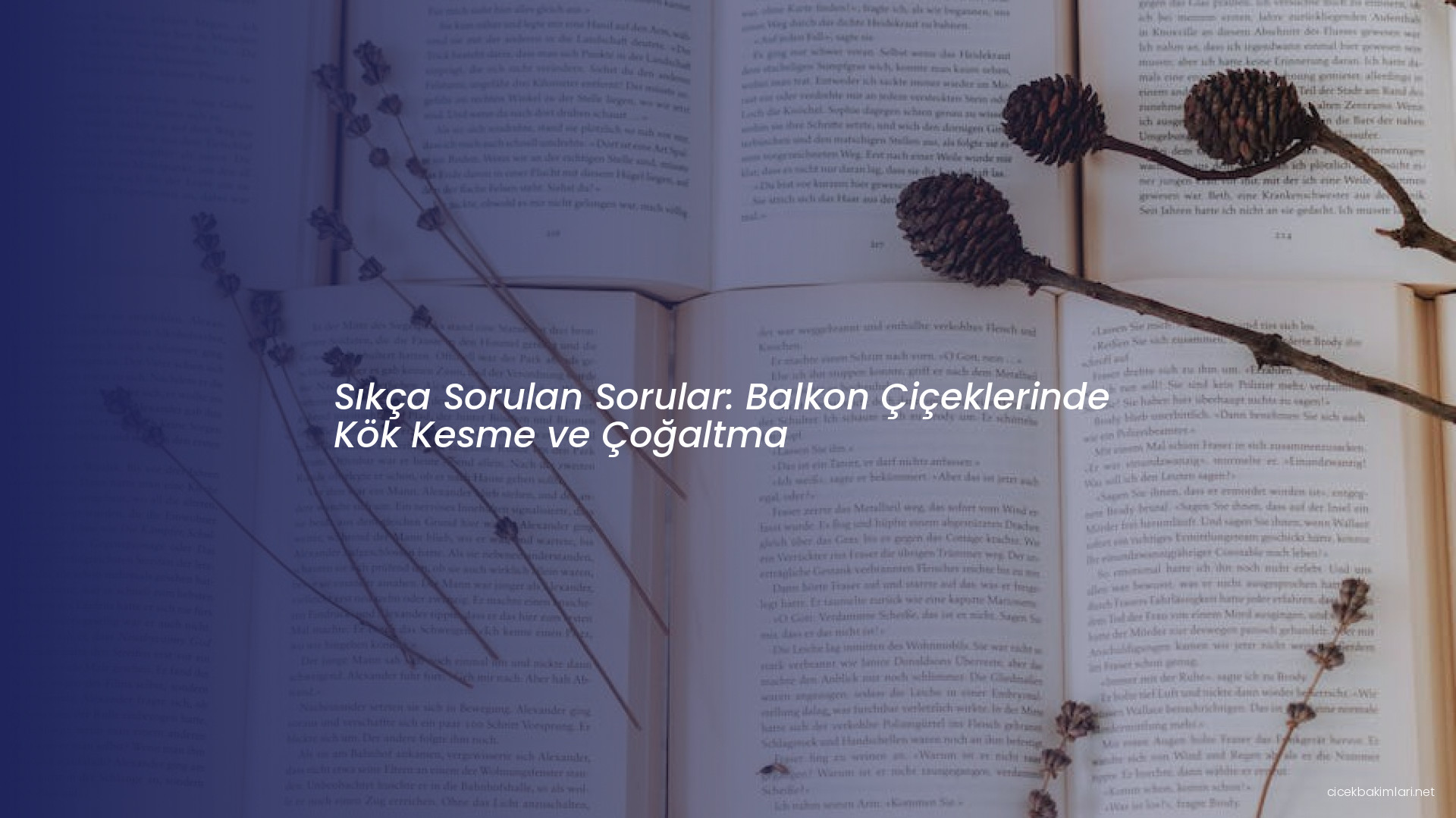 Sıkça Sorulan Sorular: Balkon Çiçeklerinde Kök Kesme ve Çoğaltma