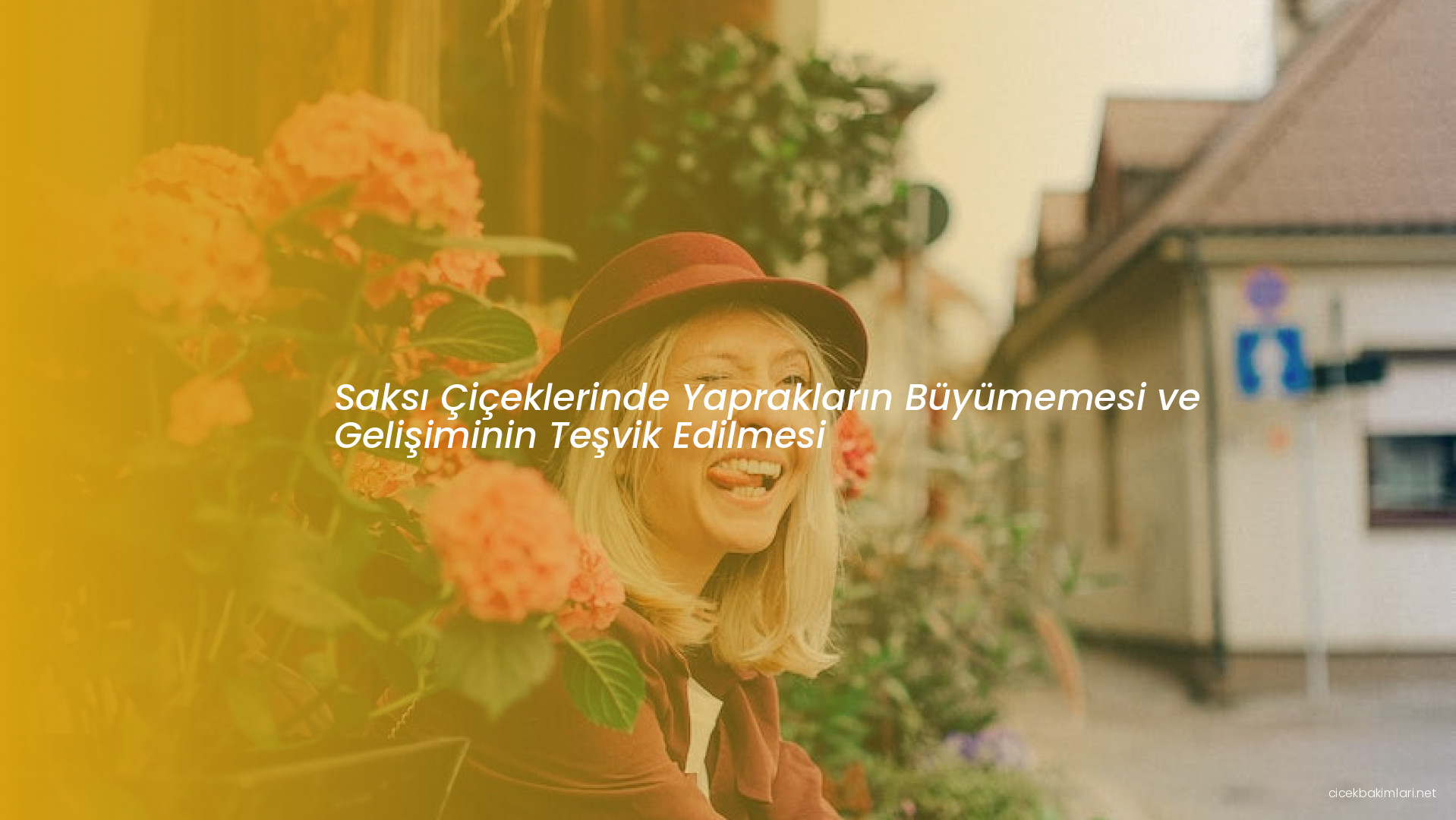 Saksı Çiçeklerinde Yaprakların Büyümemesi ve Gelişiminin Teşvik Edilmesi