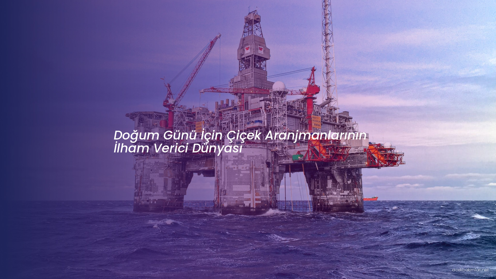 Doğum Günü İçin Çiçek Aranjmanlarının İlham Verici Dünyası