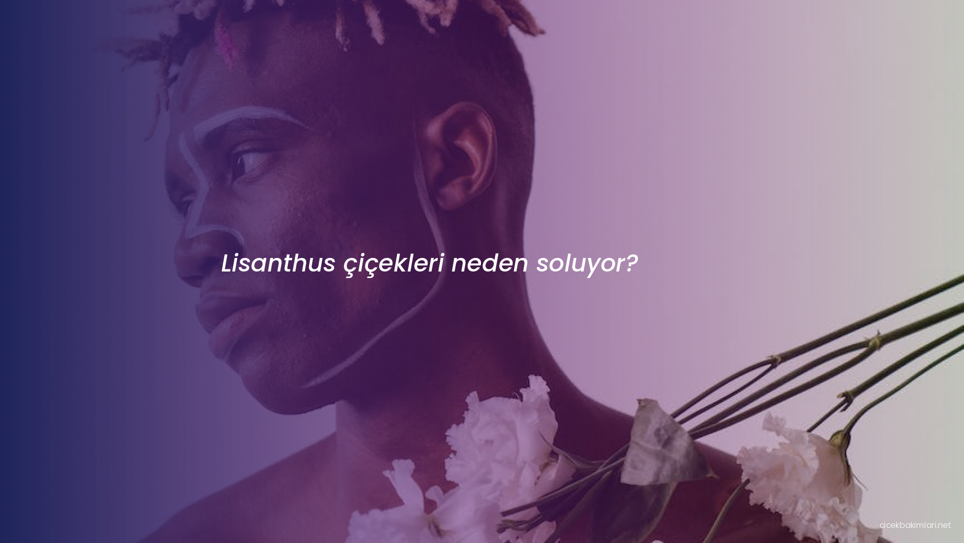 Lisanthus çiçekleri neden soluyor?