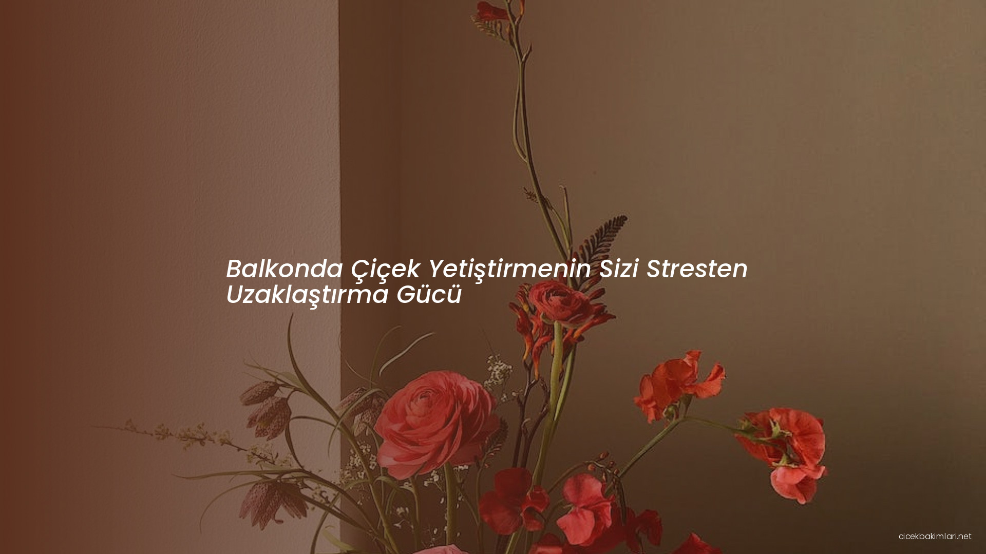 Balkonda Çiçek Yetiştirmenin Sizi Stresten Uzaklaştırma Gücü