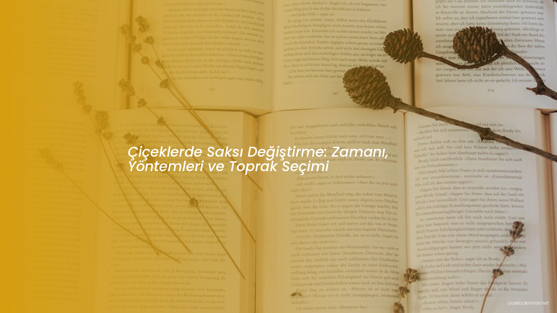 Çiçeklerde Saksı Değiştirme: Zamanı, Yöntemleri ve Toprak Seçimi