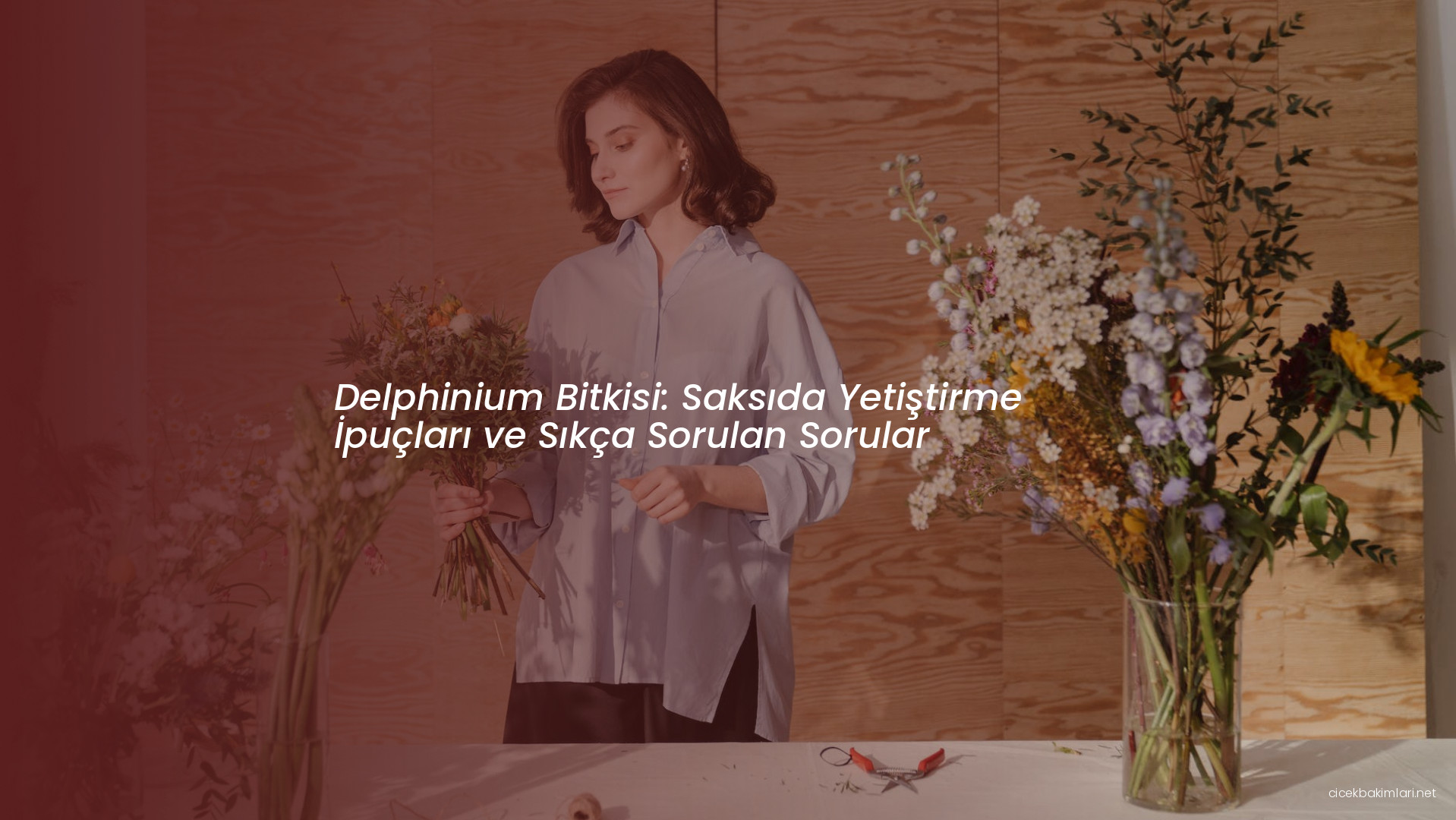 Delphinium Bitkisi: Saksıda Yetiştirme İpuçları ve Sıkça Sorulan Sorular