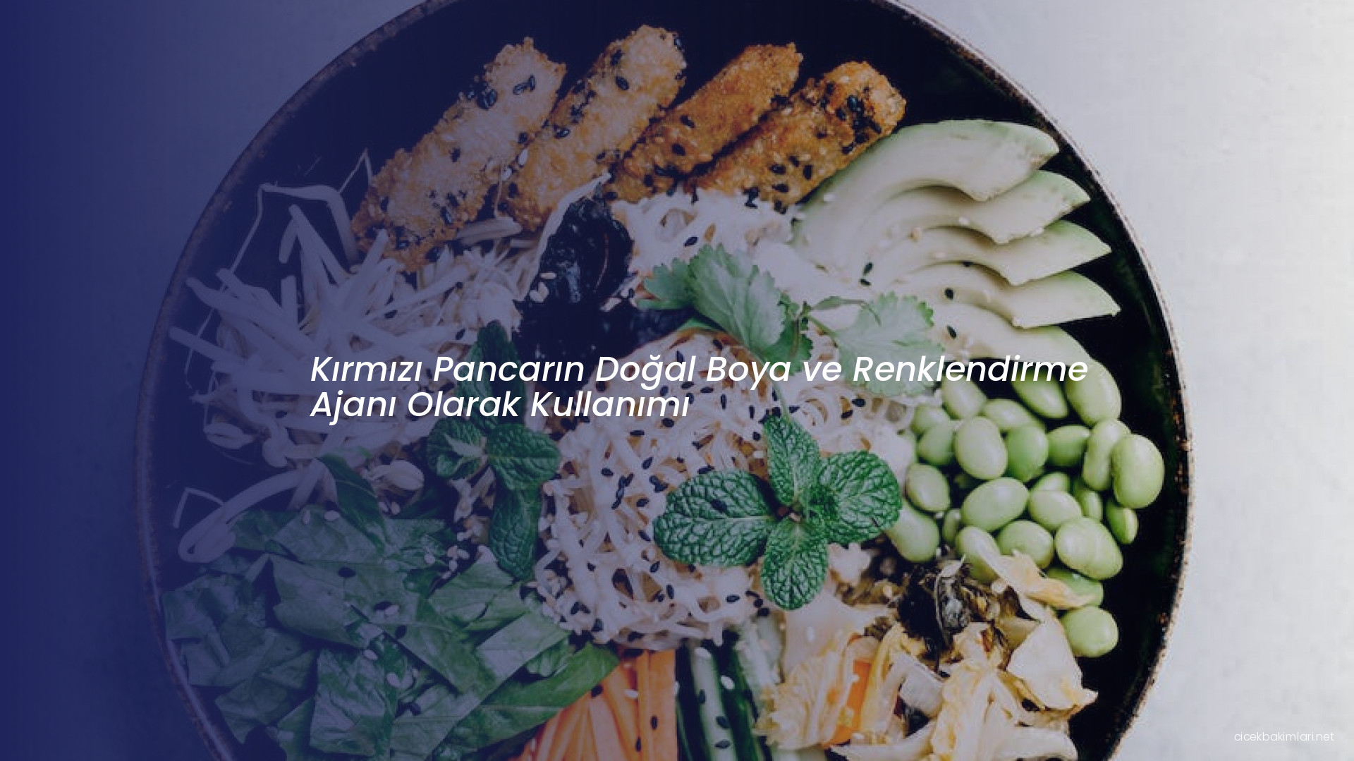 Kırmızı Pancarın Doğal Boya ve Renklendirme Ajanı Olarak Kullanımı