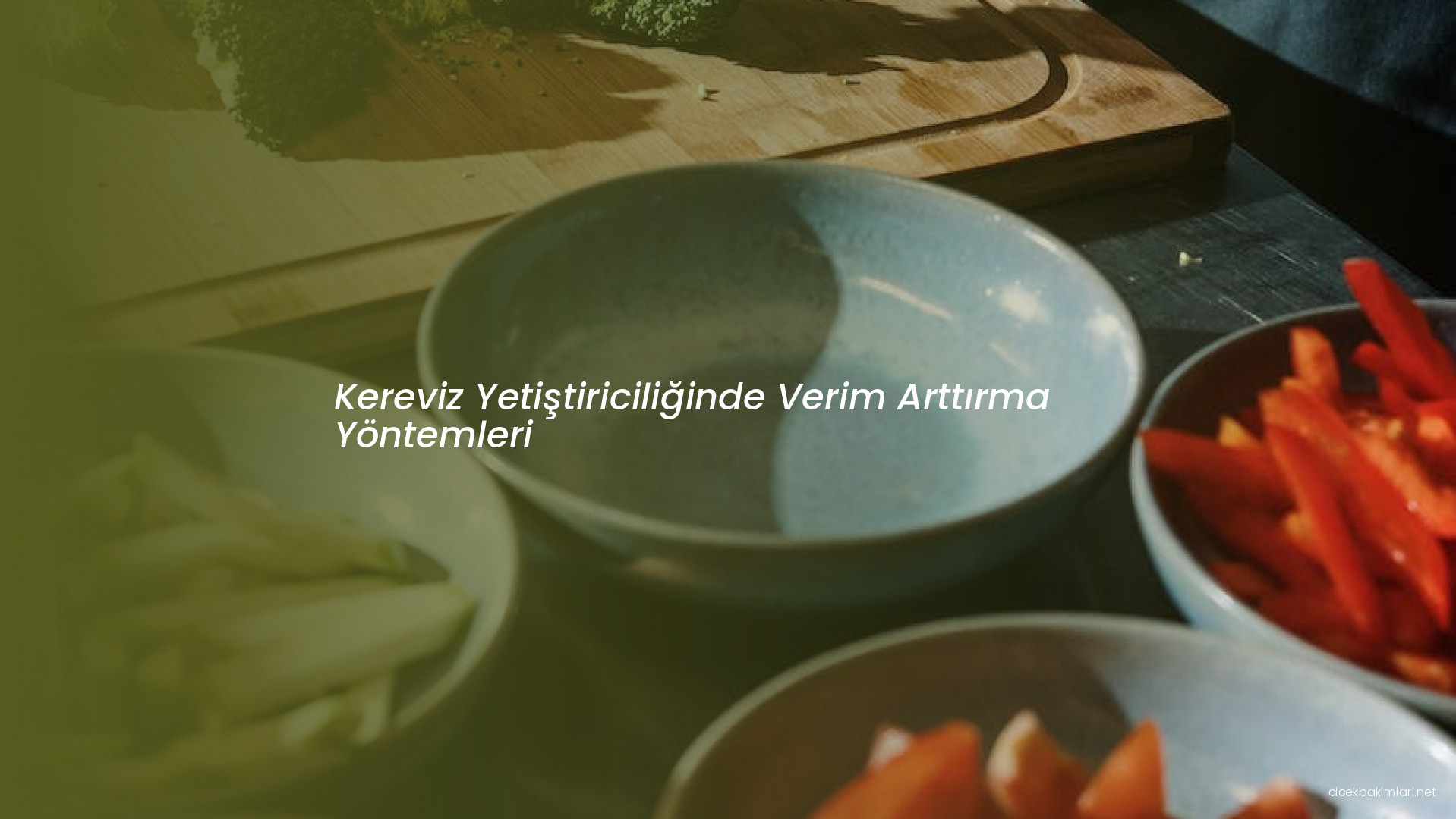 Kereviz Yetiştiriciliğinde Verim Arttırma Yöntemleri