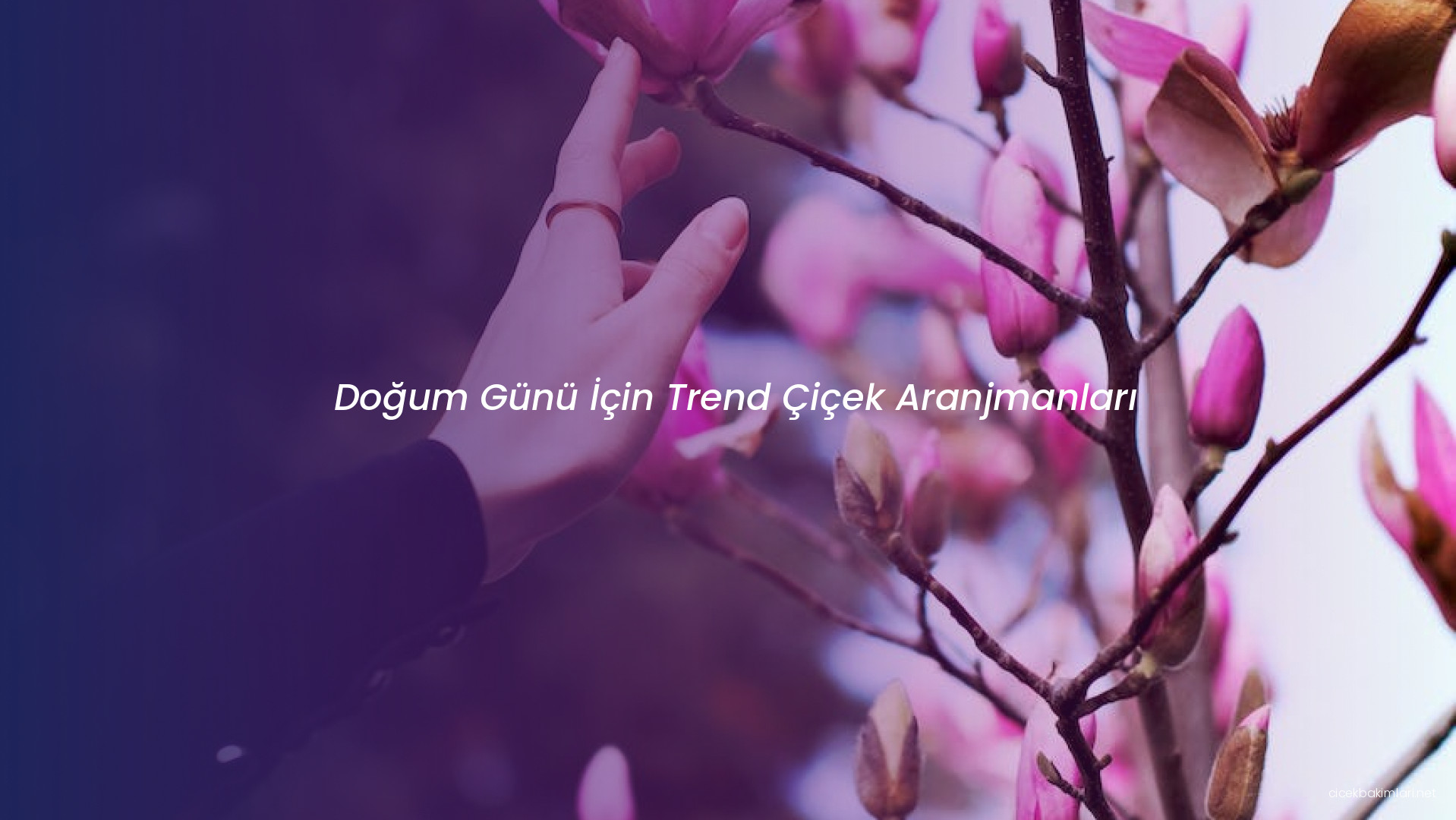 Doğum Günü İçin Trend Çiçek Aranjmanları