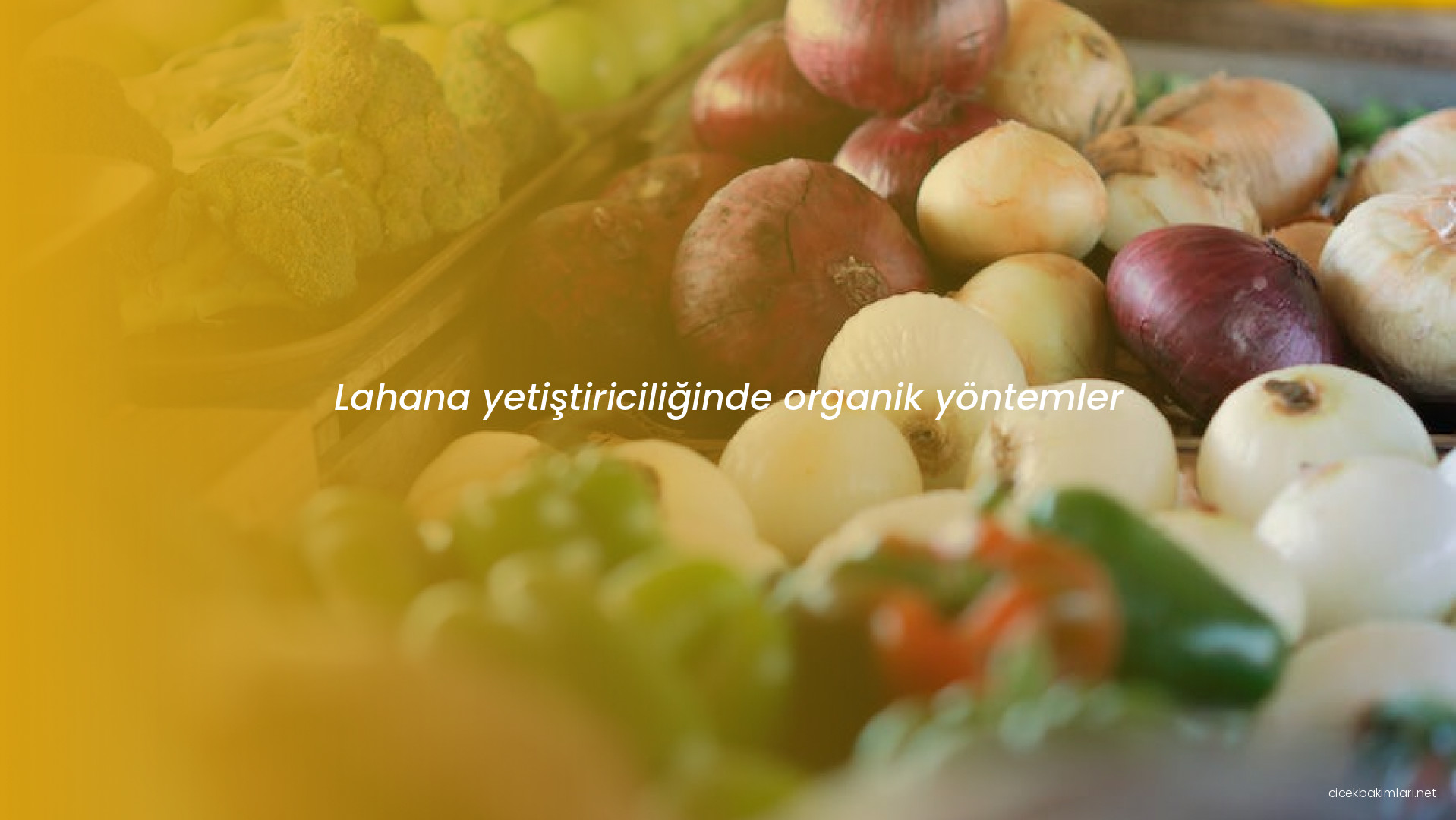 Lahana yetiştiriciliğinde organik yöntemler