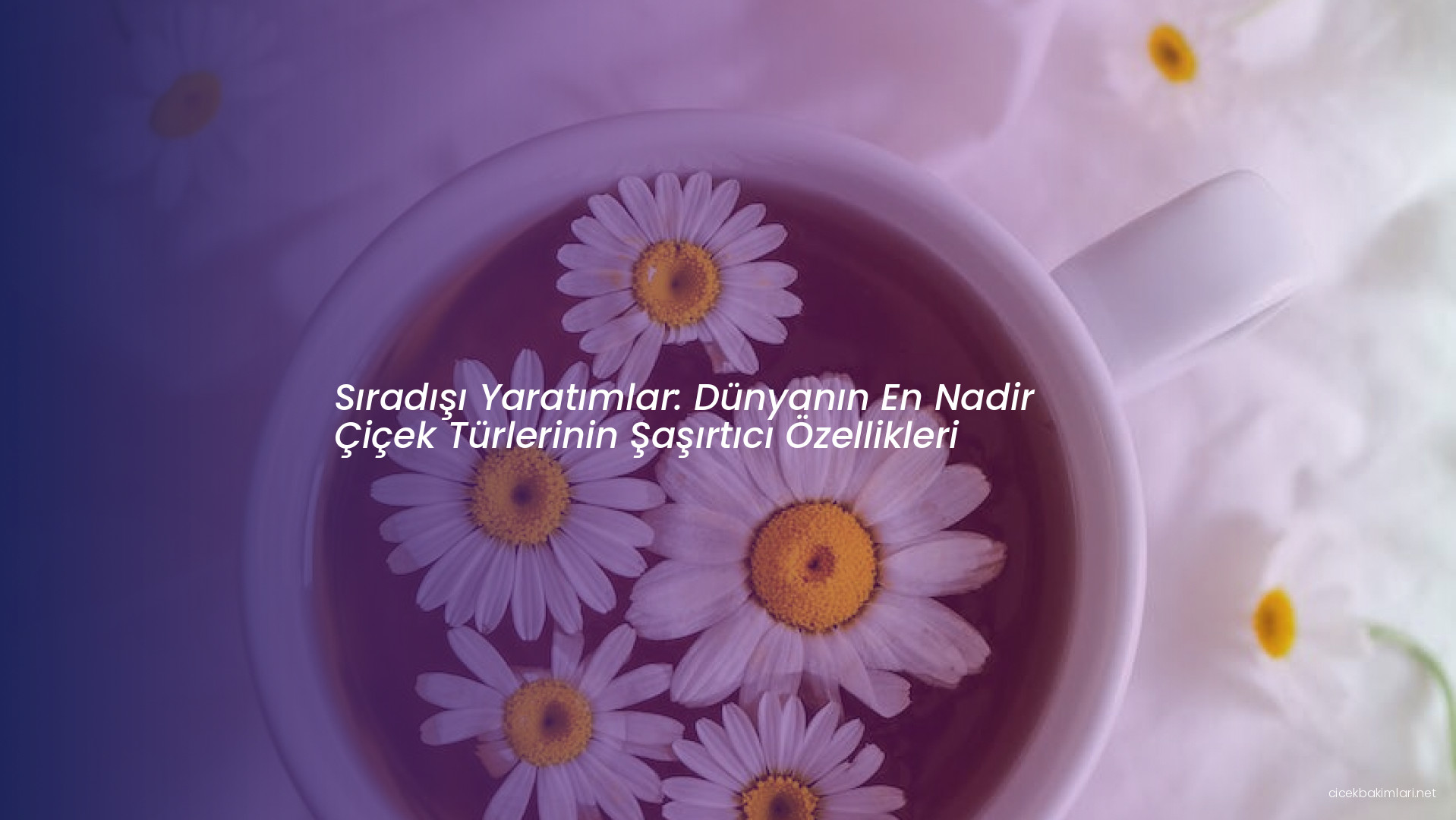 Sıradışı Yaratımlar: Dünyanın En Nadir Çiçek Türlerinin Şaşırtıcı Özellikleri