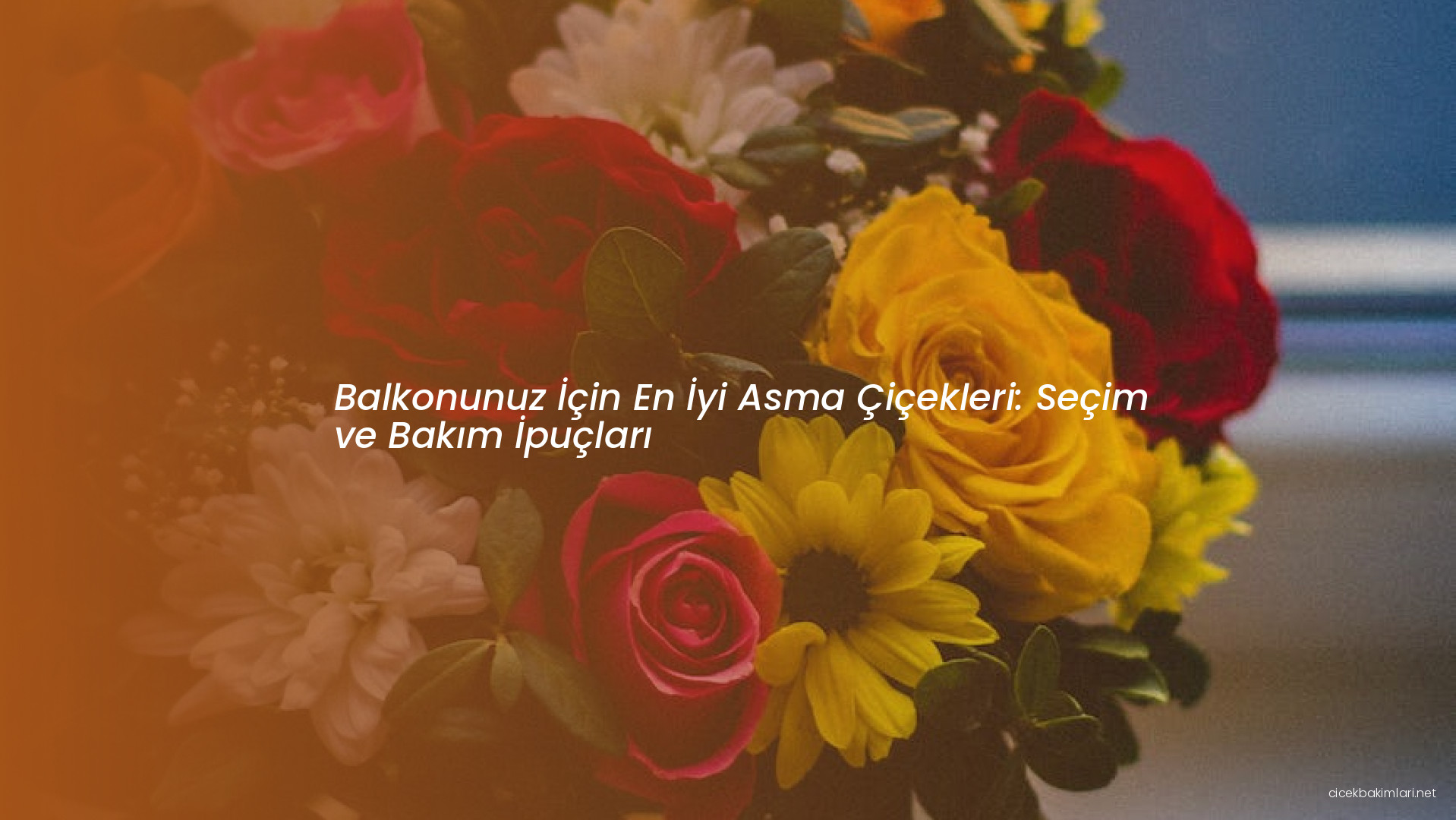 Balkonunuz İçin En İyi Asma Çiçekleri: Seçim ve Bakım İpuçları