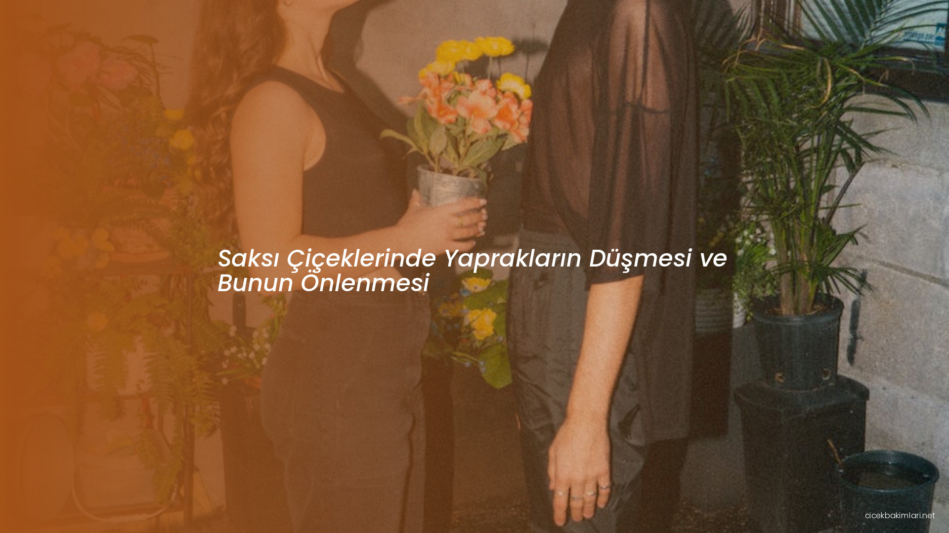 Saksı Çiçeklerinde Yaprakların Düşmesi ve Bunun Önlenmesi