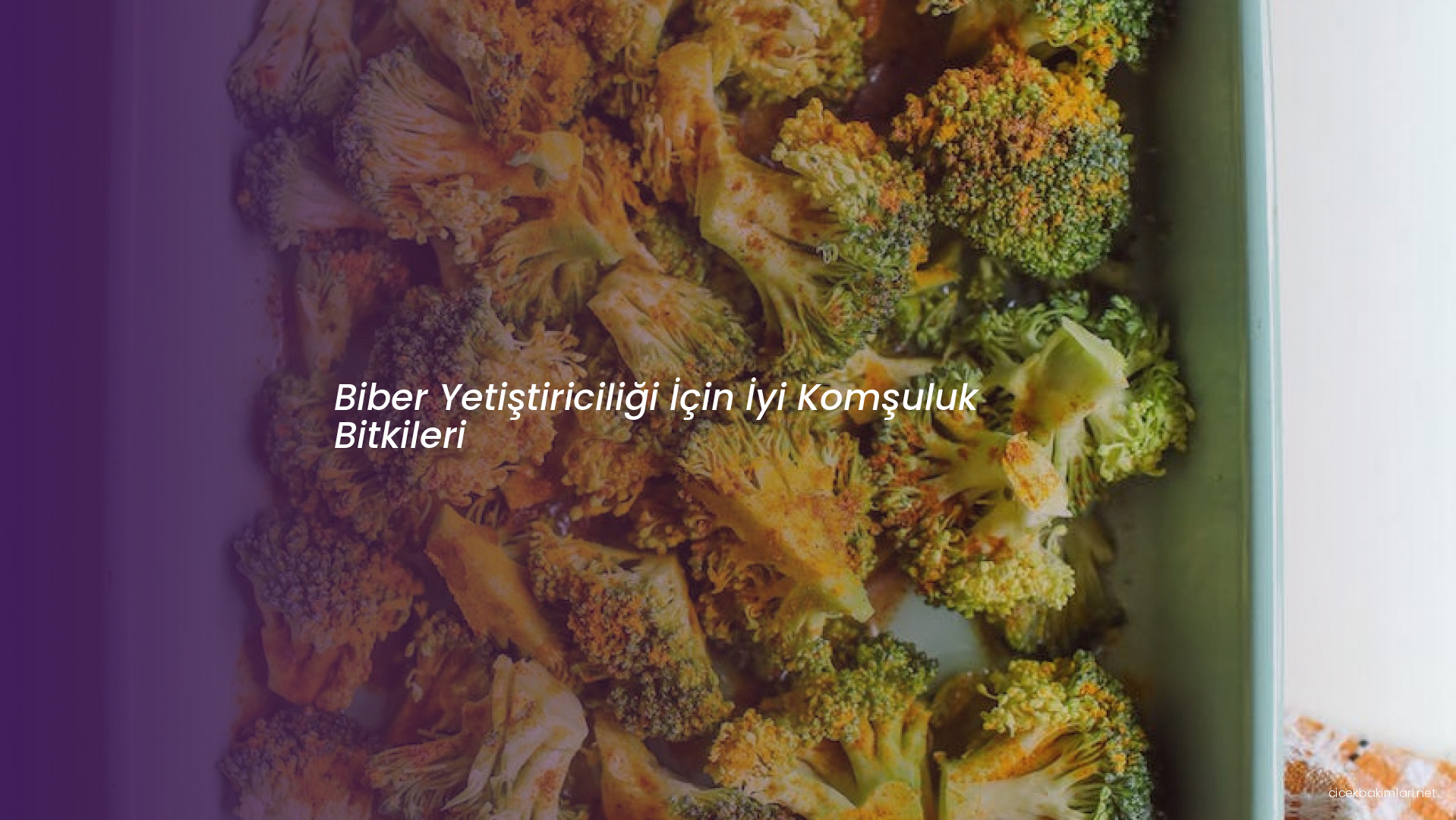 Biber Yetiştiriciliği İçin İyi Komşuluk Bitkileri