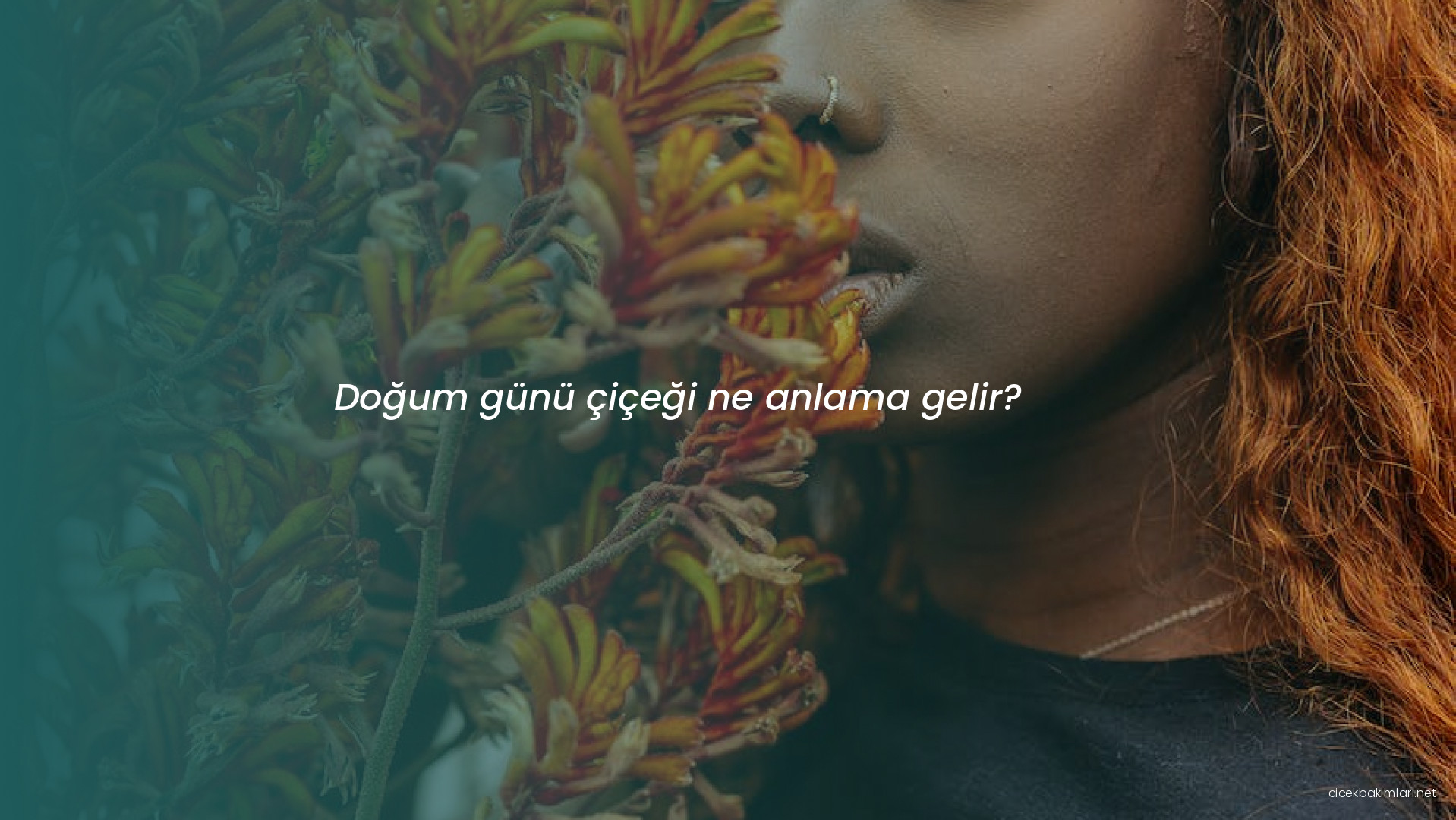 Doğum günü çiçeği ne anlama gelir?