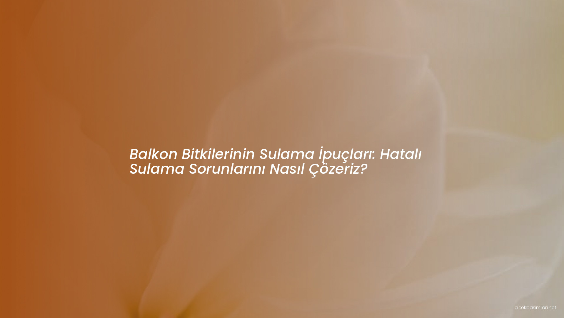 Balkon Bitkilerinin Sulama İpuçları: Hatalı Sulama Sorunlarını Nasıl Çözeriz?