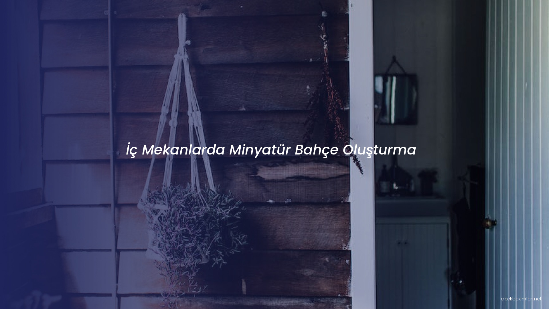 İç Mekanlarda Minyatür Bahçe Oluşturma