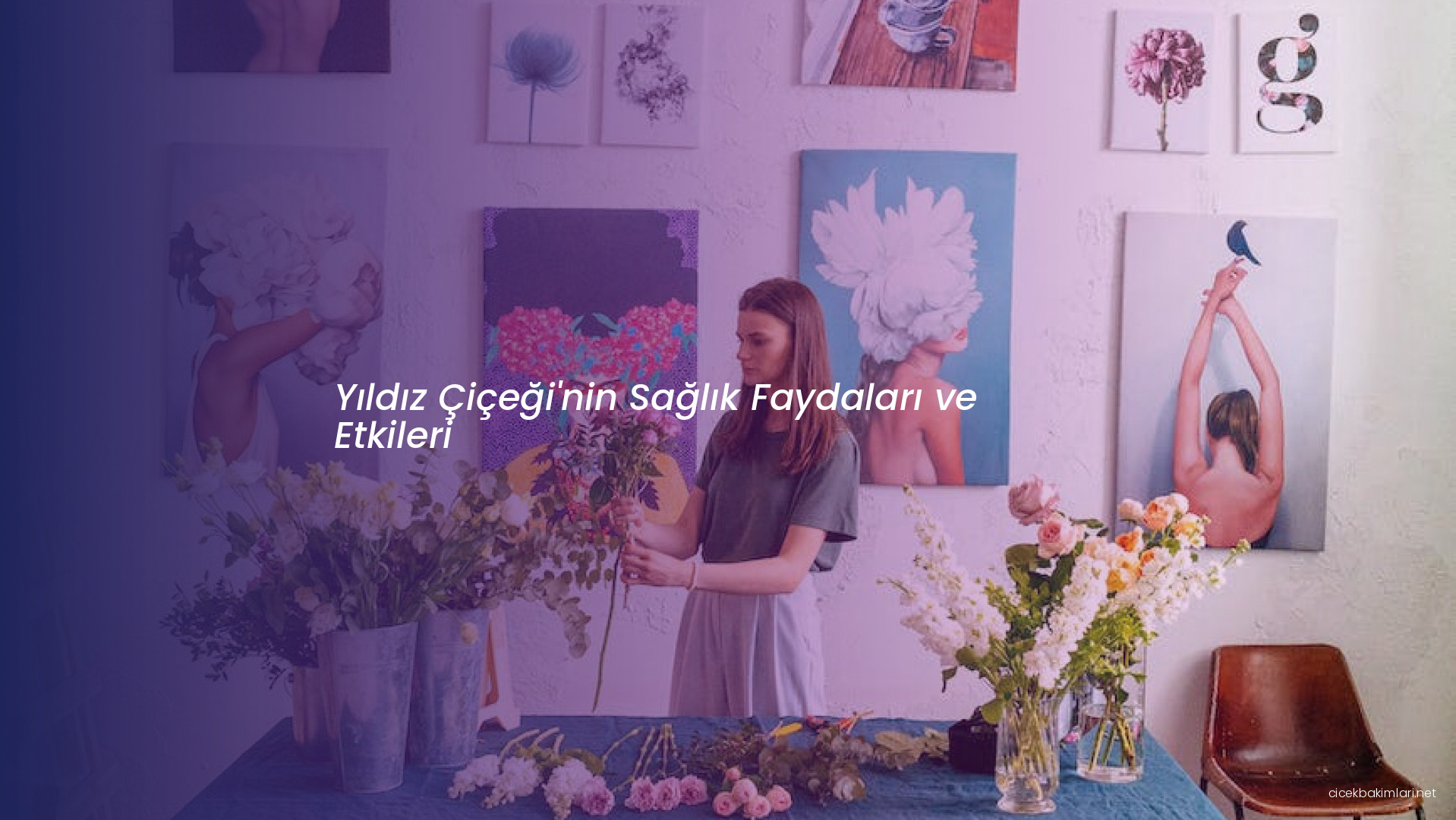 Yıldız Çiçeği'nin Sağlık Faydaları ve Etkileri