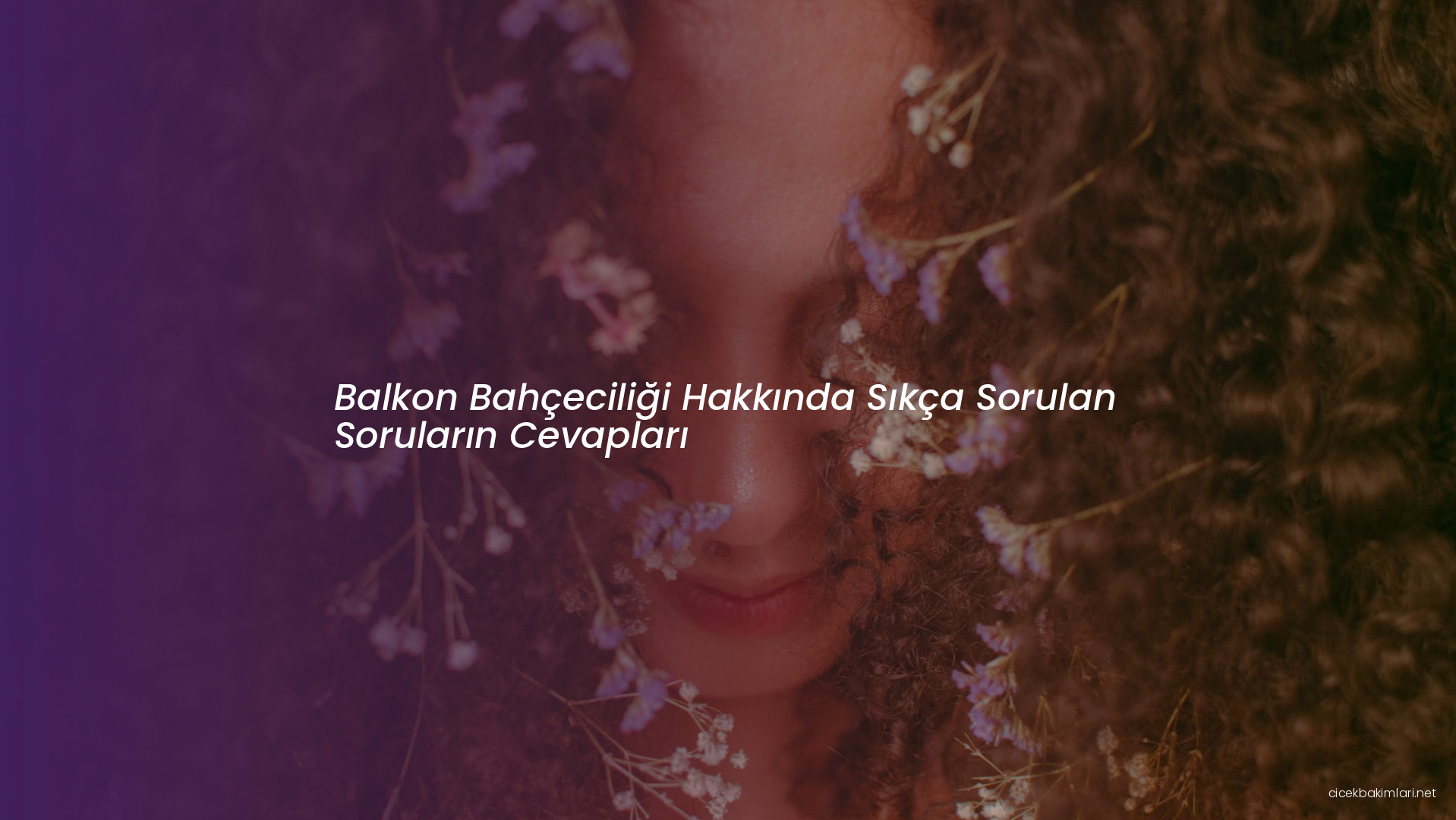 Balkon Bahçeciliği Hakkında Sıkça Sorulan Soruların Cevapları