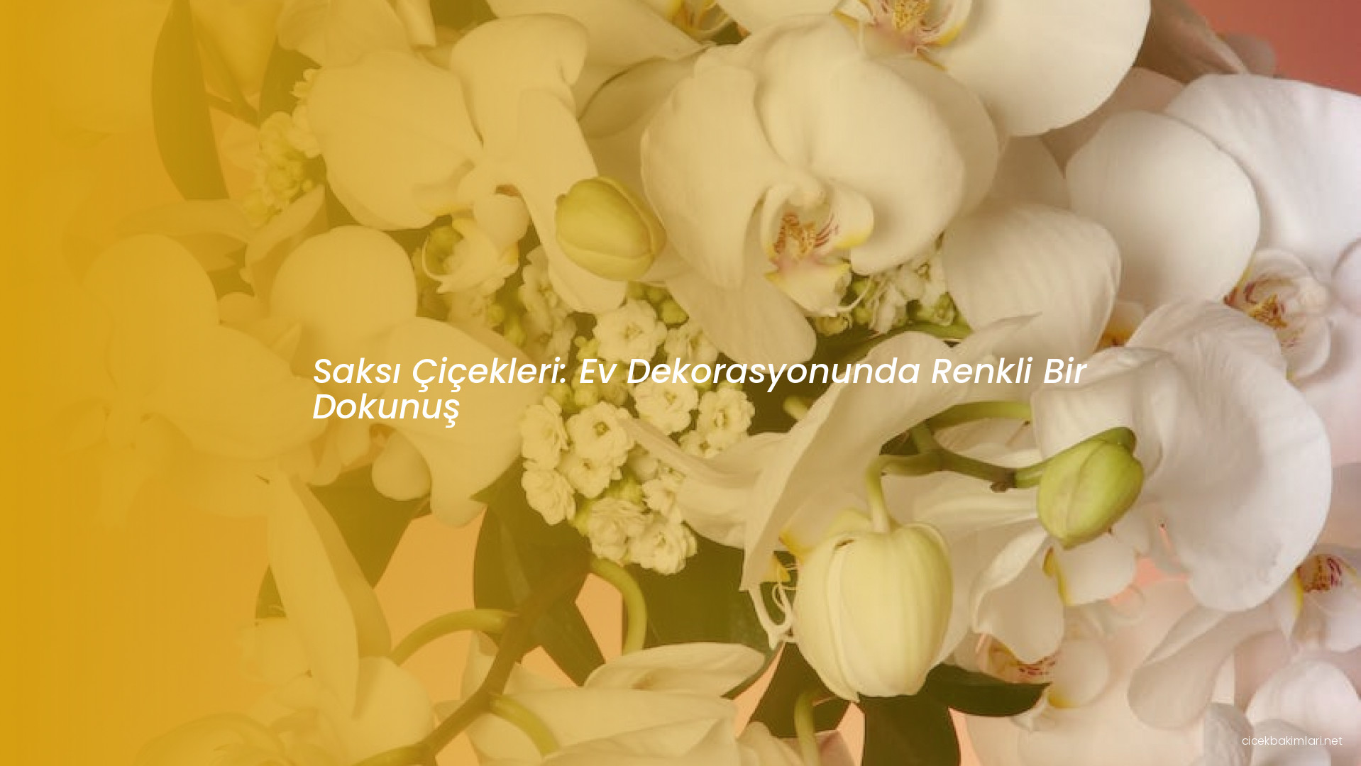 Saksı Çiçekleri: Ev Dekorasyonunda Renkli Bir Dokunuş