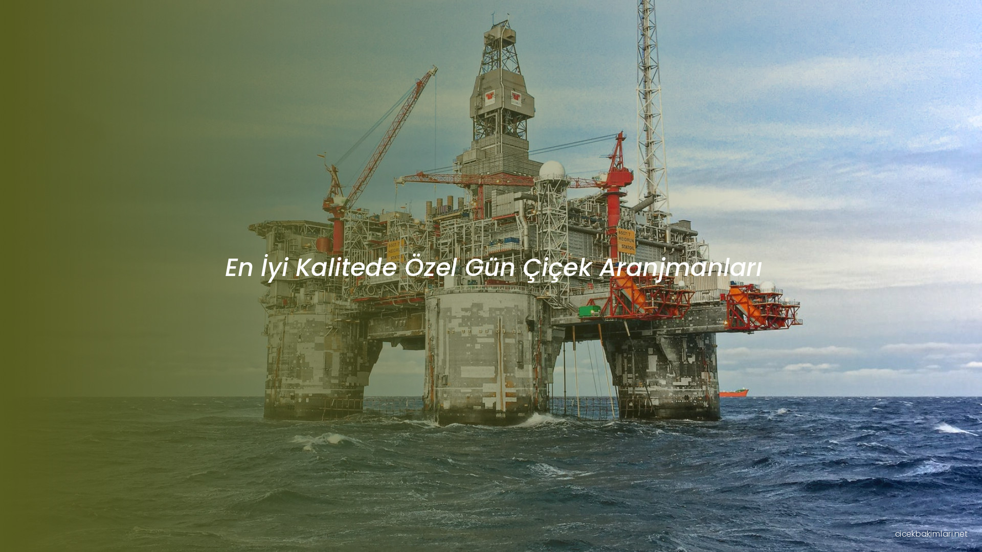 En İyi Kalitede Özel Gün Çiçek Aranjmanları