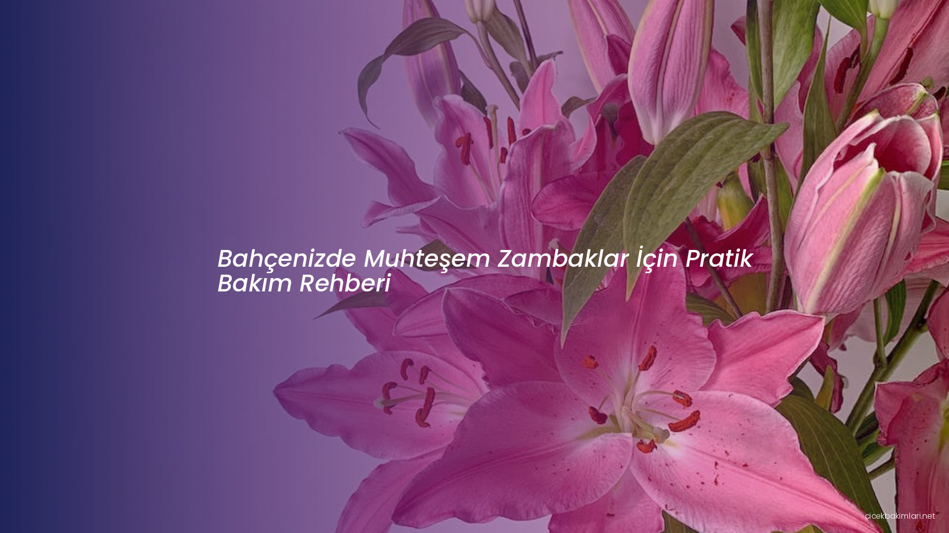 Bahçenizde Muhteşem Zambaklar İçin Pratik Bakım Rehberi