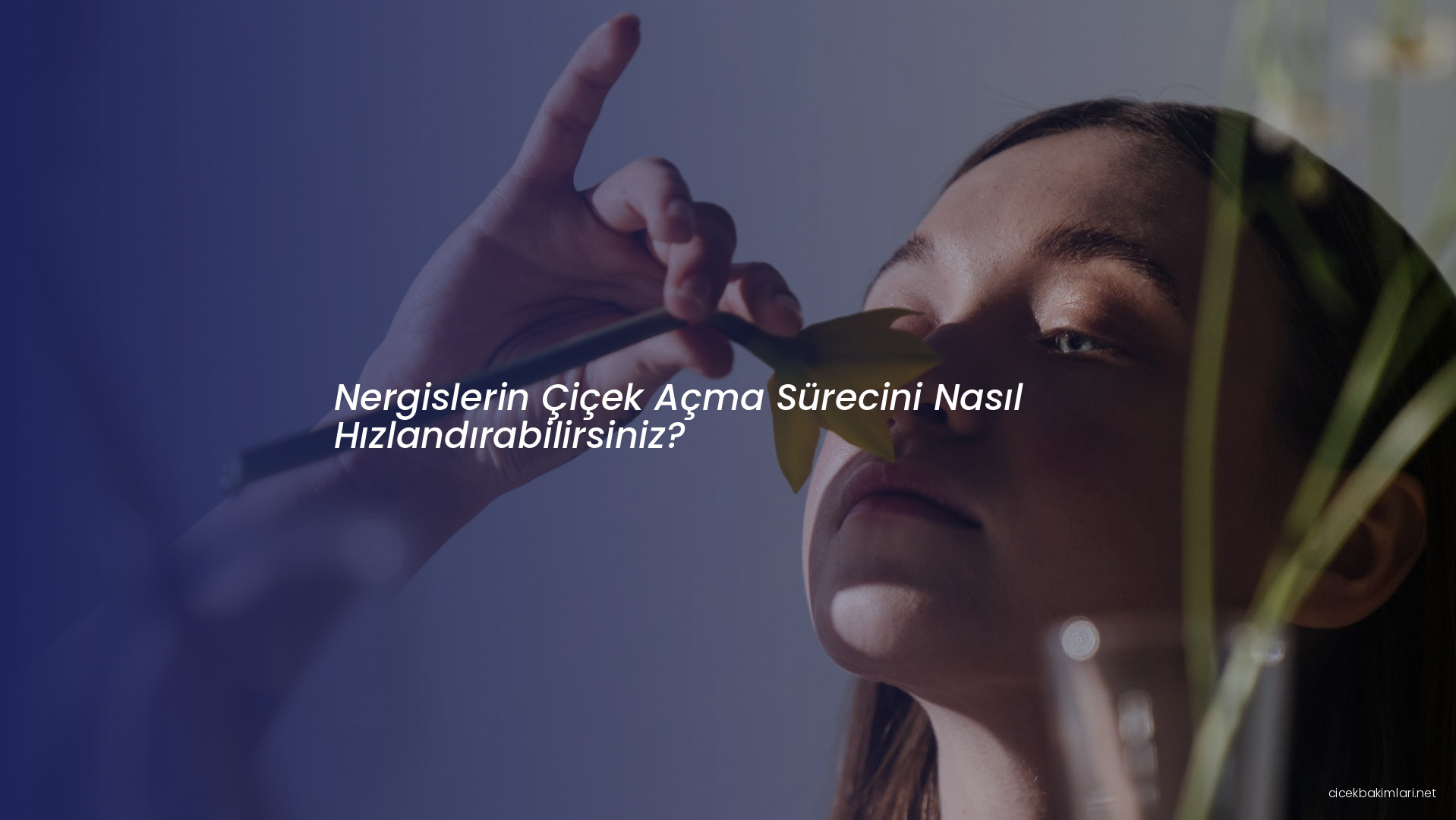 Nergislerin Çiçek Açma Sürecini Nasıl Hızlandırabilirsiniz?