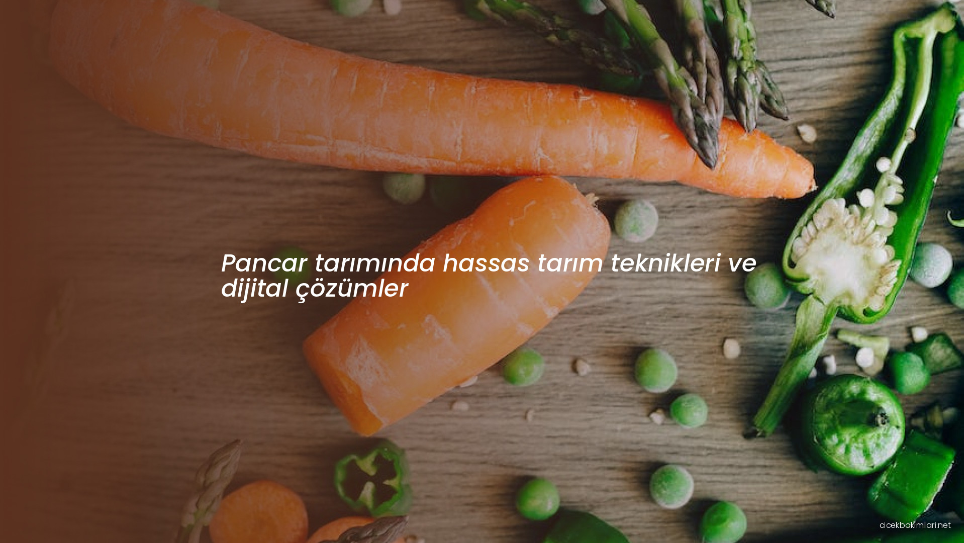 Pancar tarımında hassas tarım teknikleri ve dijital çözümler