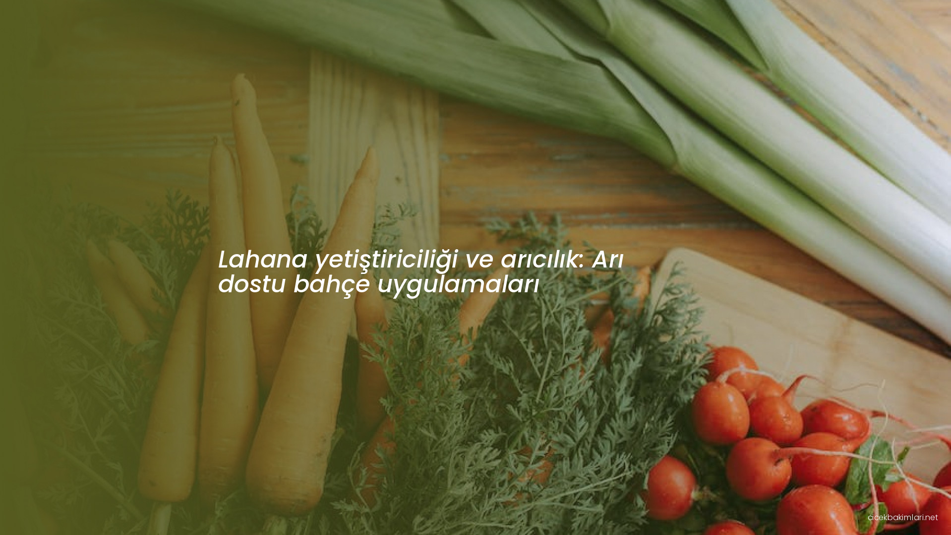 Lahana yetiştiriciliği ve arıcılık: Arı dostu bahçe uygulamaları