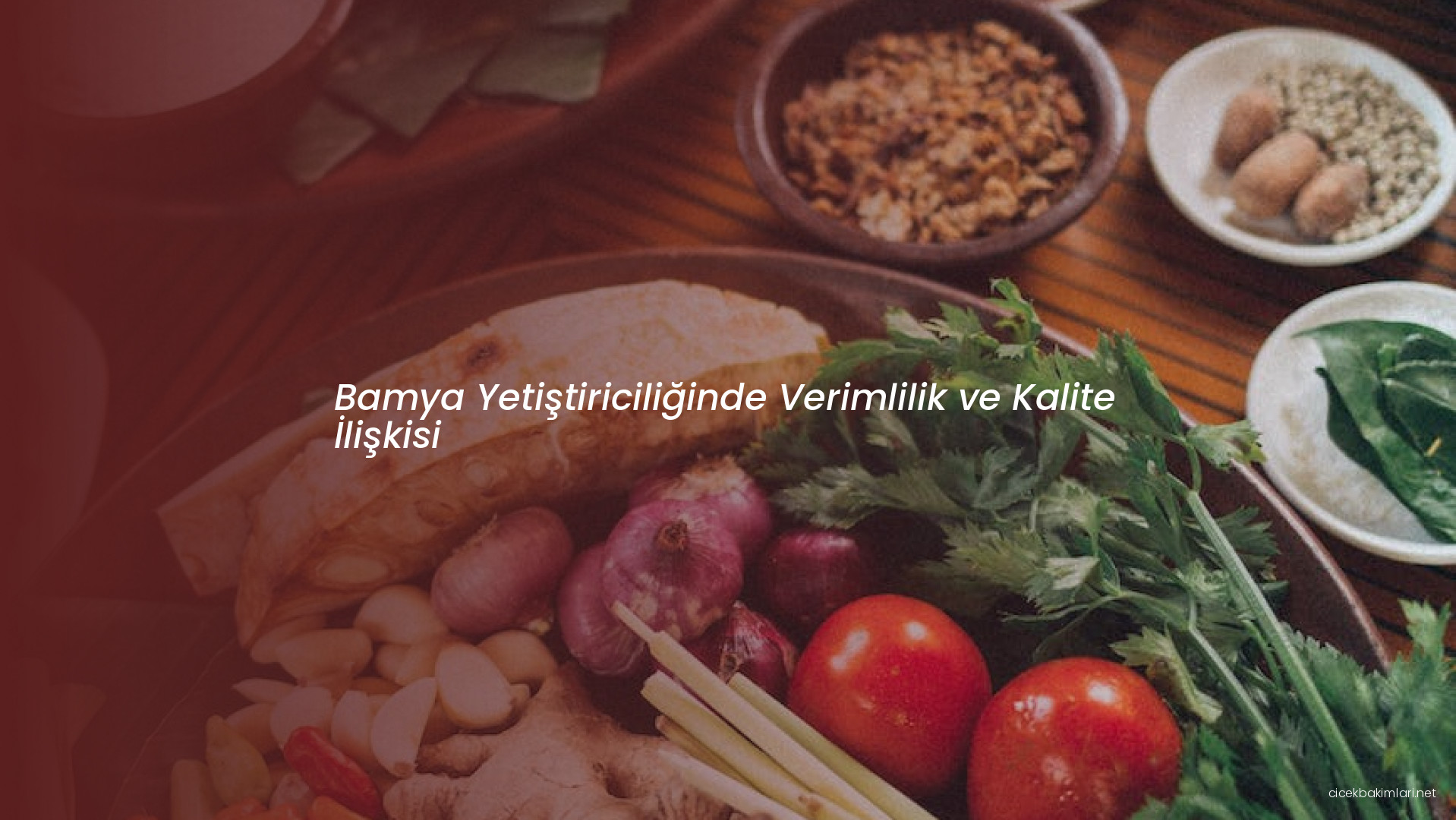 Bamya Yetiştiriciliğinde Verimlilik ve Kalite İlişkisi