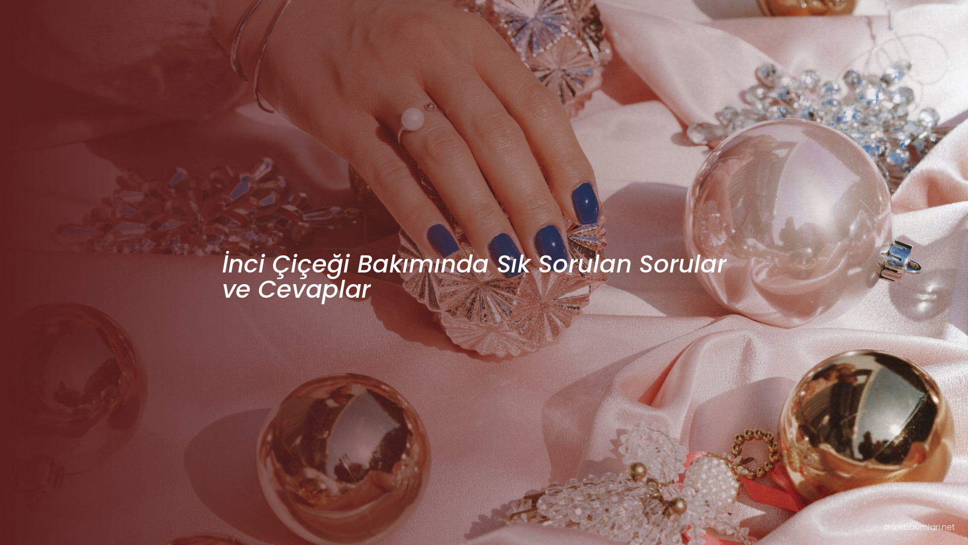 İnci Çiçeği Bakımında Sık Sorulan Sorular ve Cevaplar