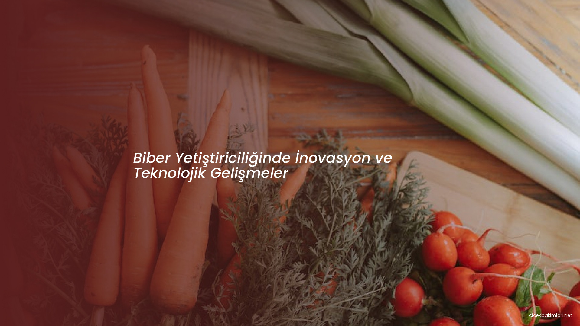 Biber Yetiştiriciliğinde İnovasyon ve Teknolojik Gelişmeler