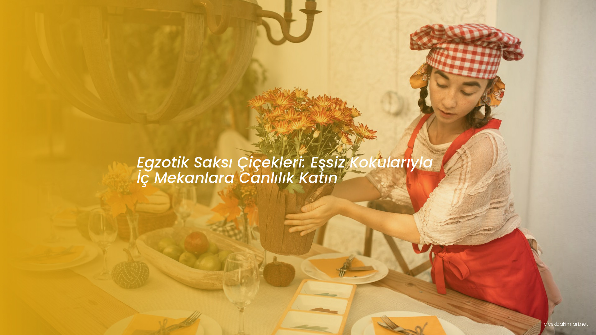 Egzotik Saksı Çiçekleri: Eşsiz Kokularıyla İç Mekanlara Canlılık Katın