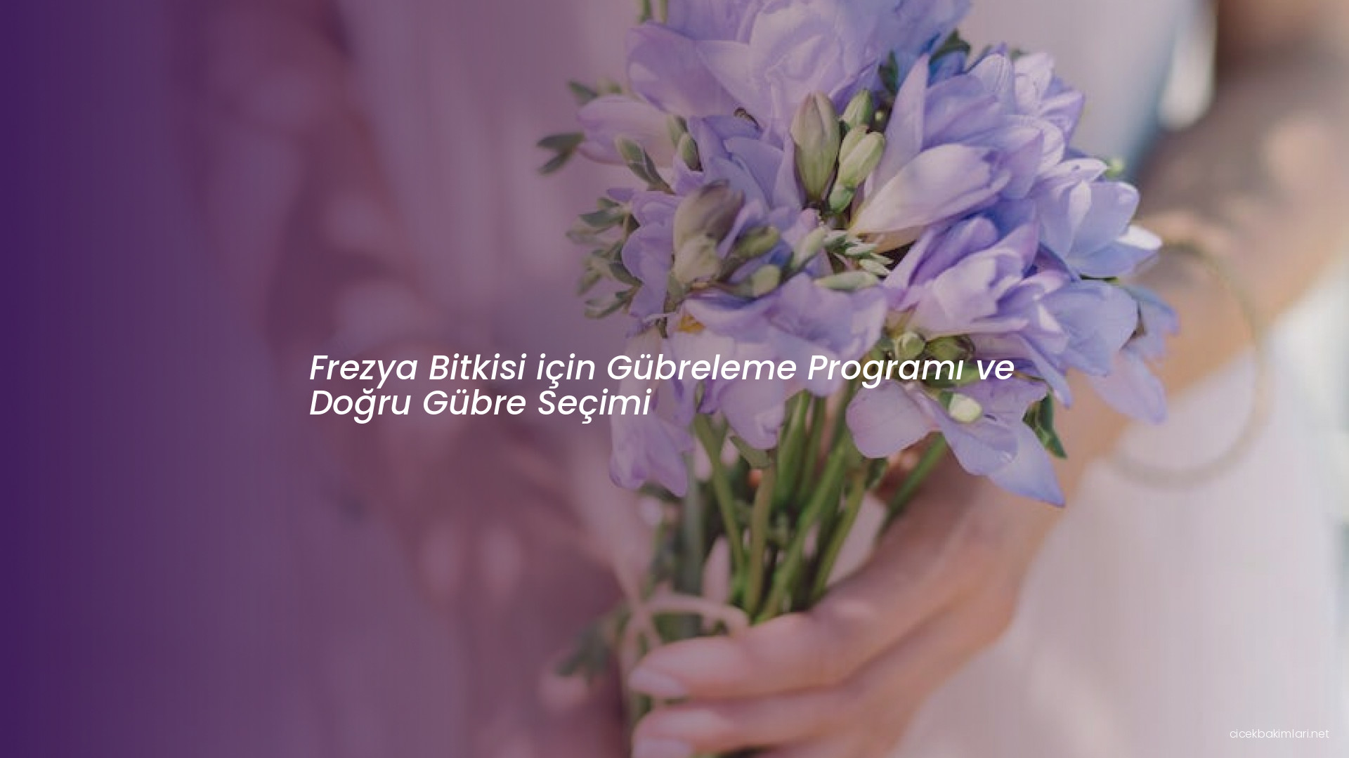 Frezya Bitkisi için Gübreleme Programı ve Doğru Gübre Seçimi