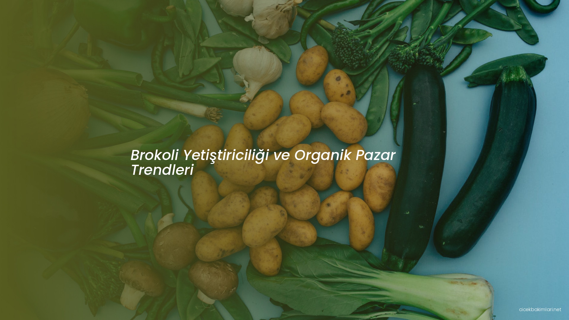 Brokoli Yetiştiriciliği ve Organik Pazar Trendleri