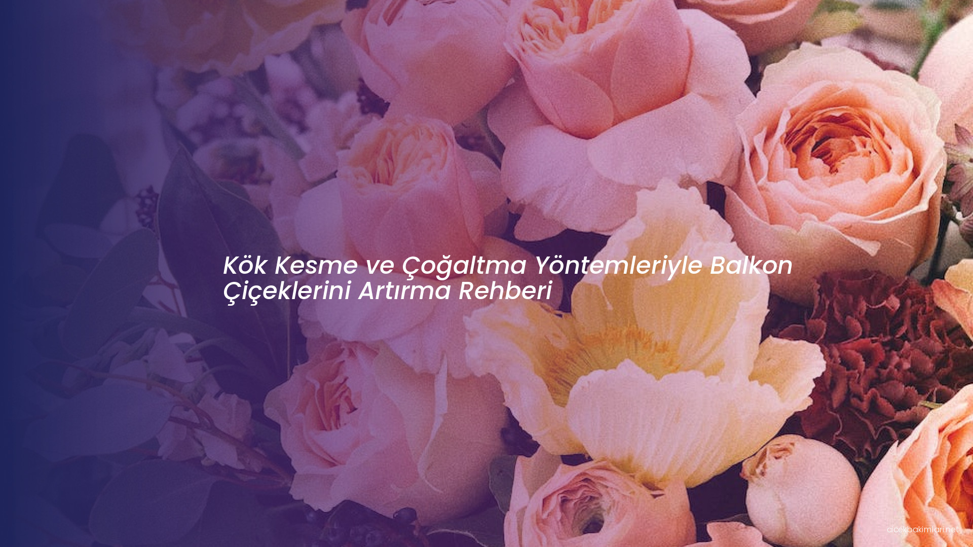 Kök Kesme ve Çoğaltma Yöntemleriyle Balkon Çiçeklerini Artırma Rehberi