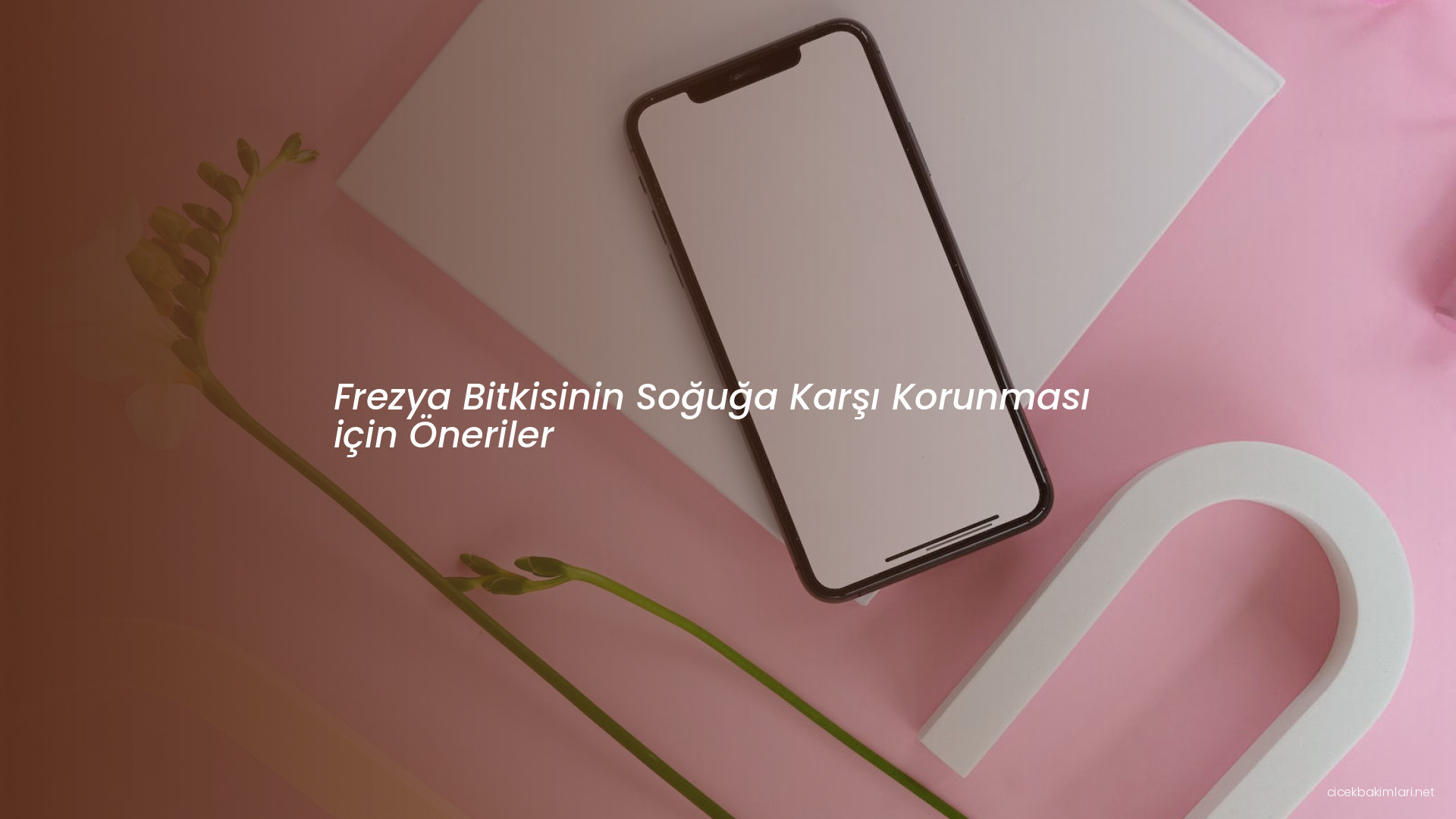 Frezya Bitkisinin Soğuğa Karşı Korunması için Öneriler