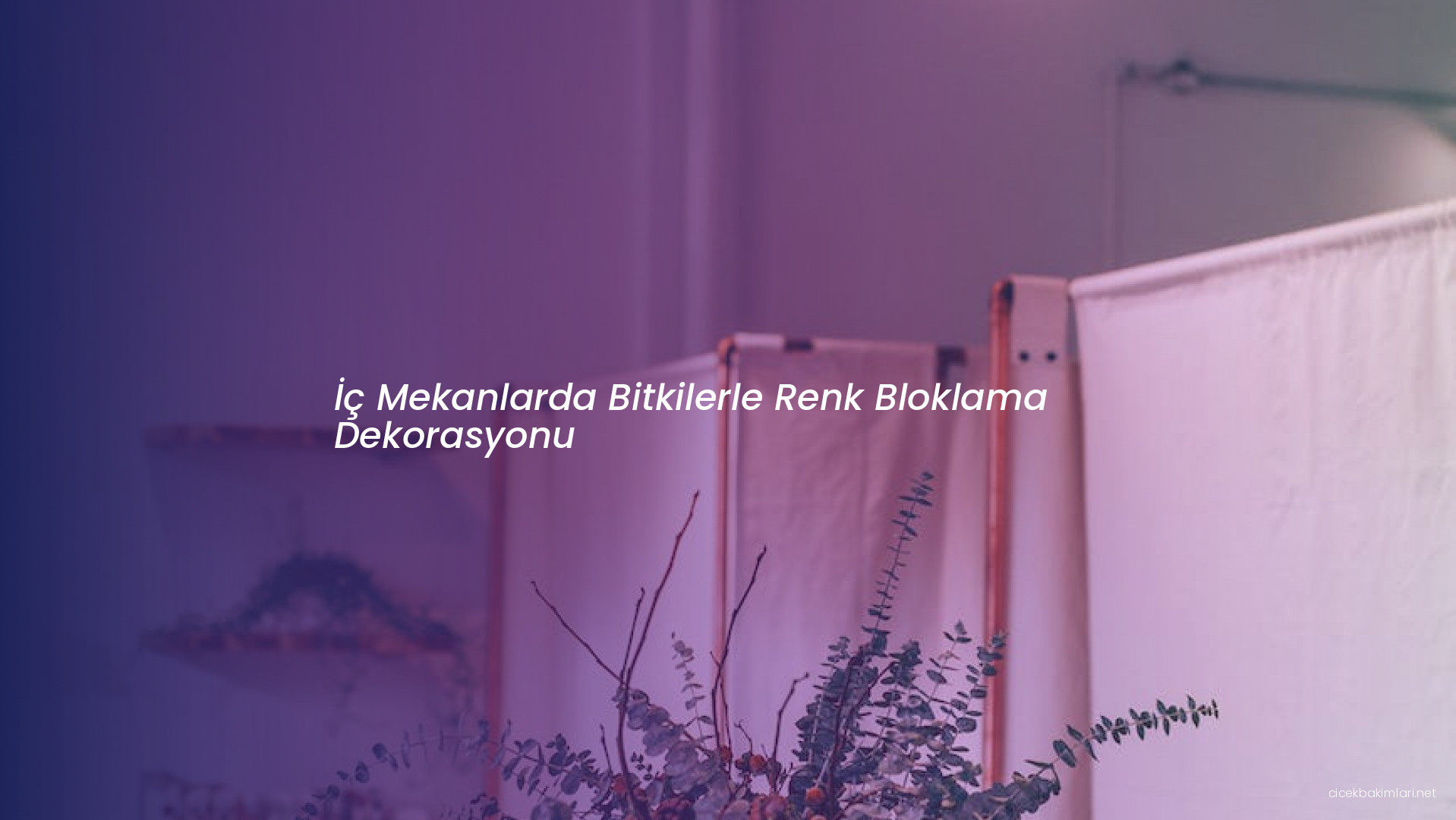 İç Mekanlarda Bitkilerle Renk Bloklama Dekorasyonu