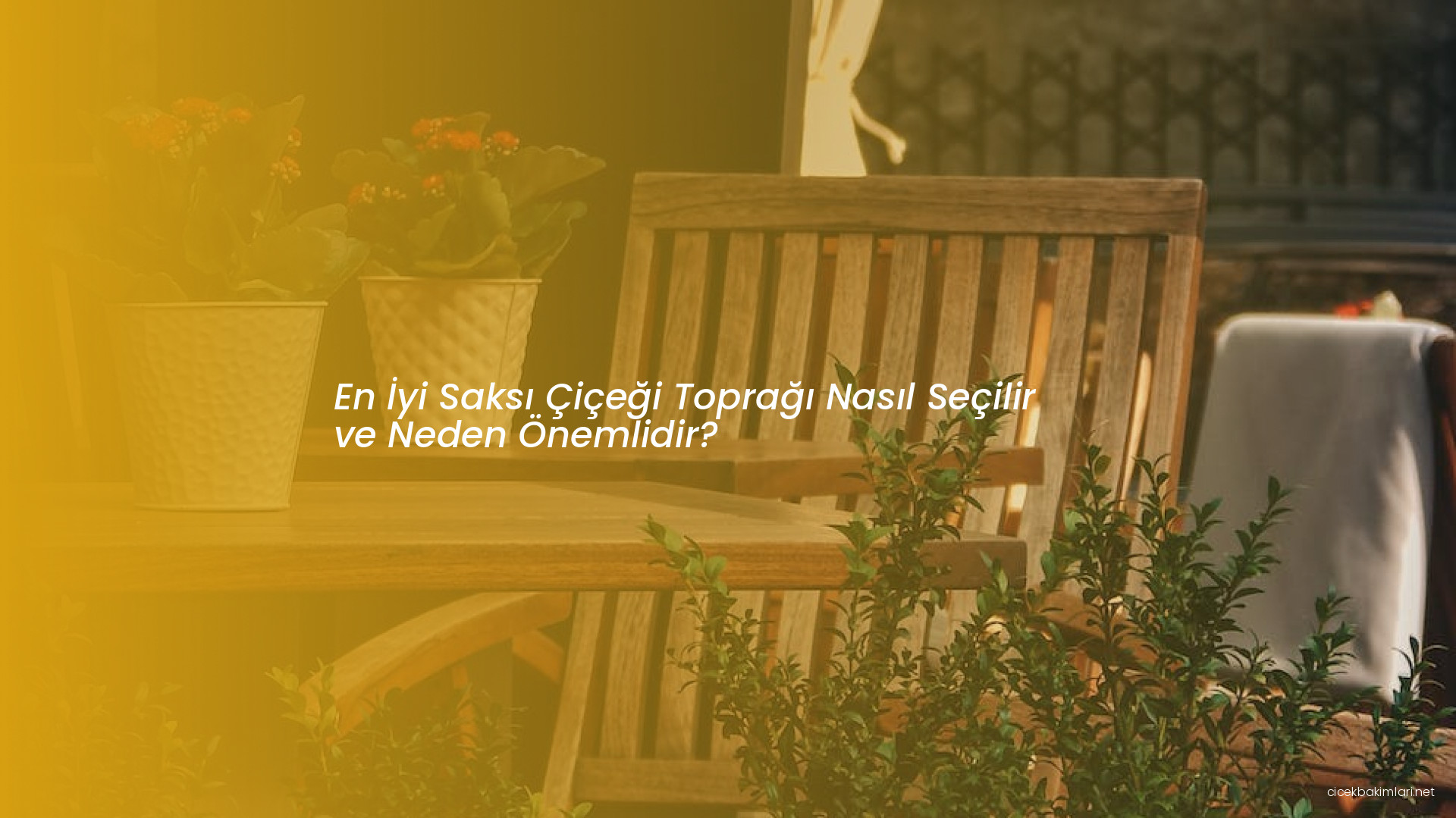 En İyi Saksı Çiçeği Toprağı Nasıl Seçilir ve Neden Önemlidir?