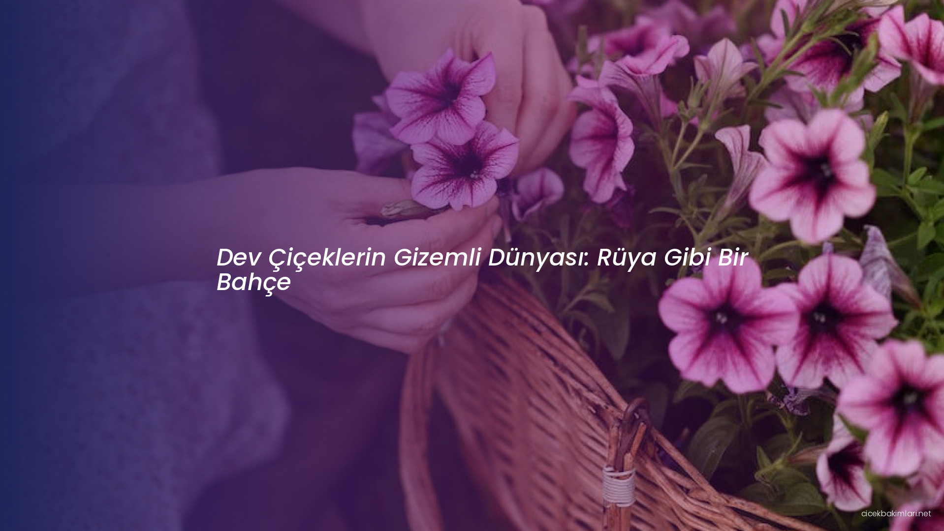 Dev Çiçeklerin Gizemli Dünyası: Rüya Gibi Bir Bahçe