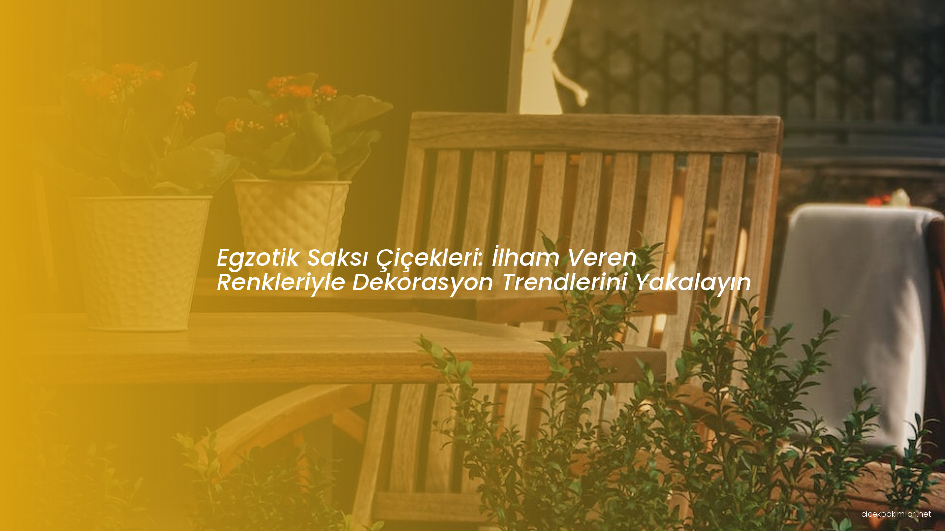 Egzotik Saksı Çiçekleri: İlham Veren Renkleriyle Dekorasyon Trendlerini Yakalayın