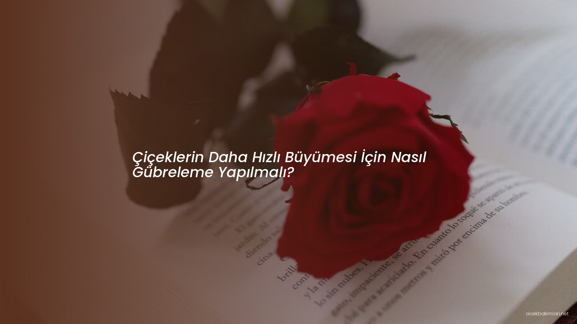 Çiçeklerin Daha Hızlı Büyümesi İçin Nasıl Gübreleme Yapılmalı?