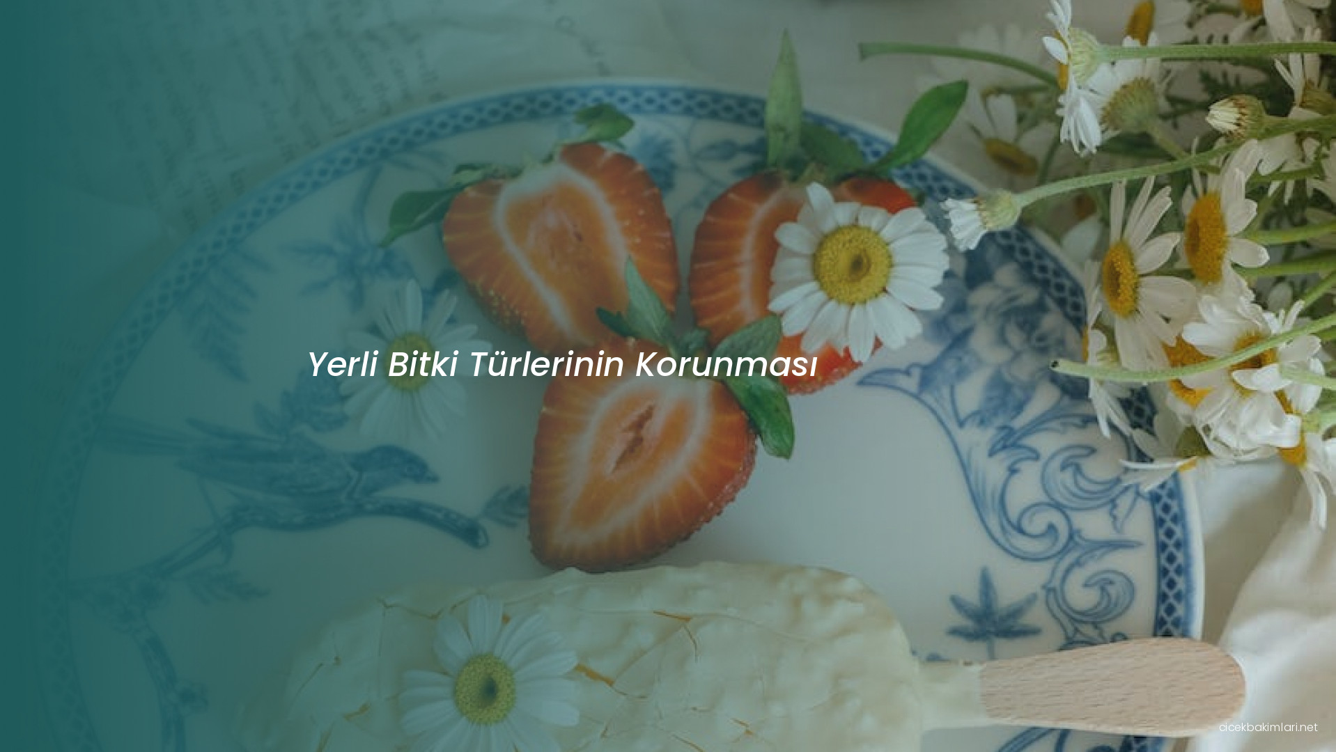 Yerli Bitki Türlerinin Korunması