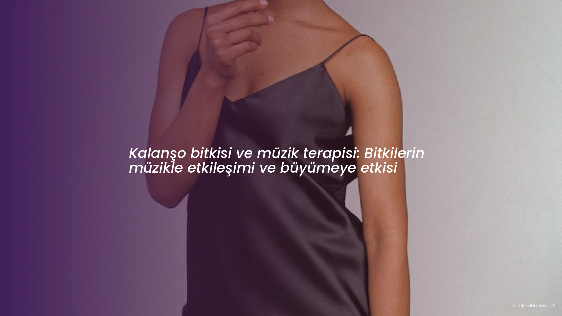 Kalanşo bitkisi ve müzik terapisi: Bitkilerin müzikle etkileşimi ve büyümeye etkisi