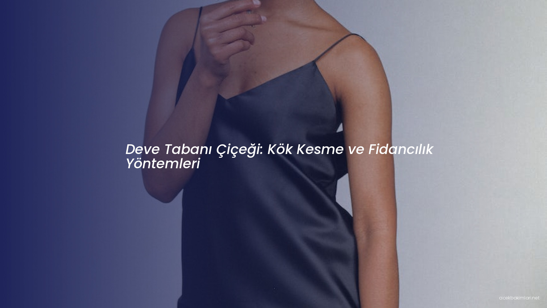 Deve Tabanı Çiçeği: Kök Kesme ve Fidancılık Yöntemleri