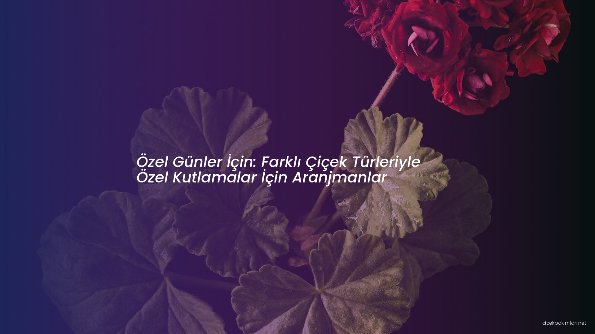 Özel Günler İçin: Farklı Çiçek Türleriyle Özel Kutlamalar İçin Aranjmanlar