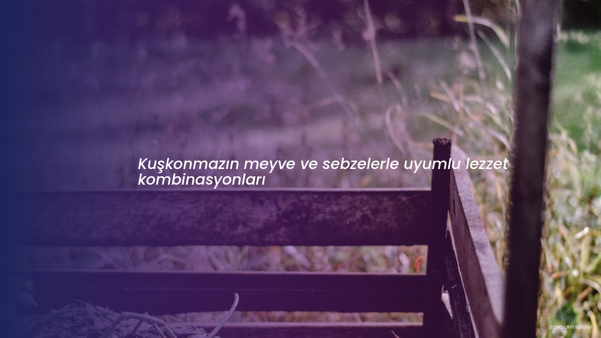 Kuşkonmazın meyve ve sebzelerle uyumlu lezzet kombinasyonları