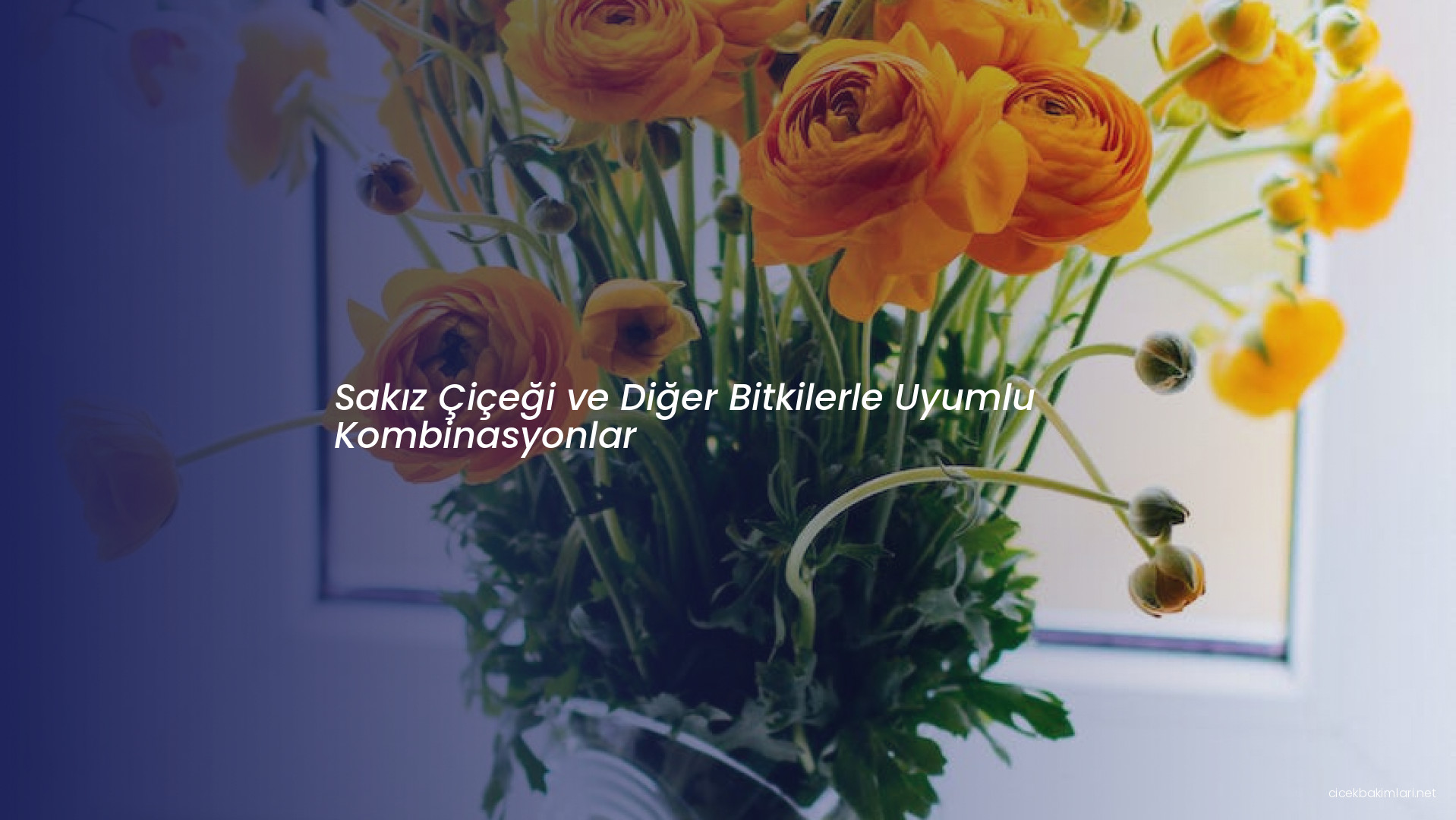 Sakız Çiçeği ve Diğer Bitkilerle Uyumlu Kombinasyonlar