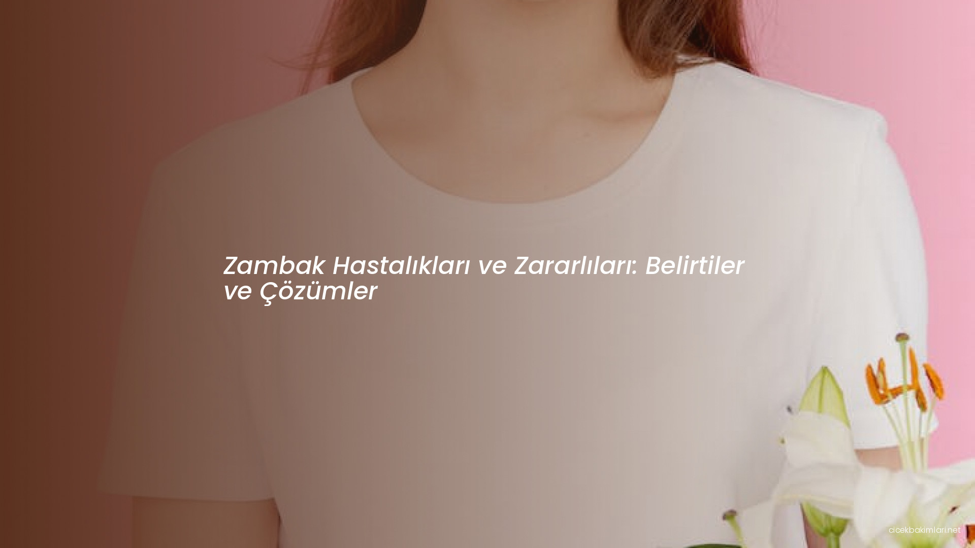 Zambak Hastalıkları ve Zararlıları: Belirtiler ve Çözümler