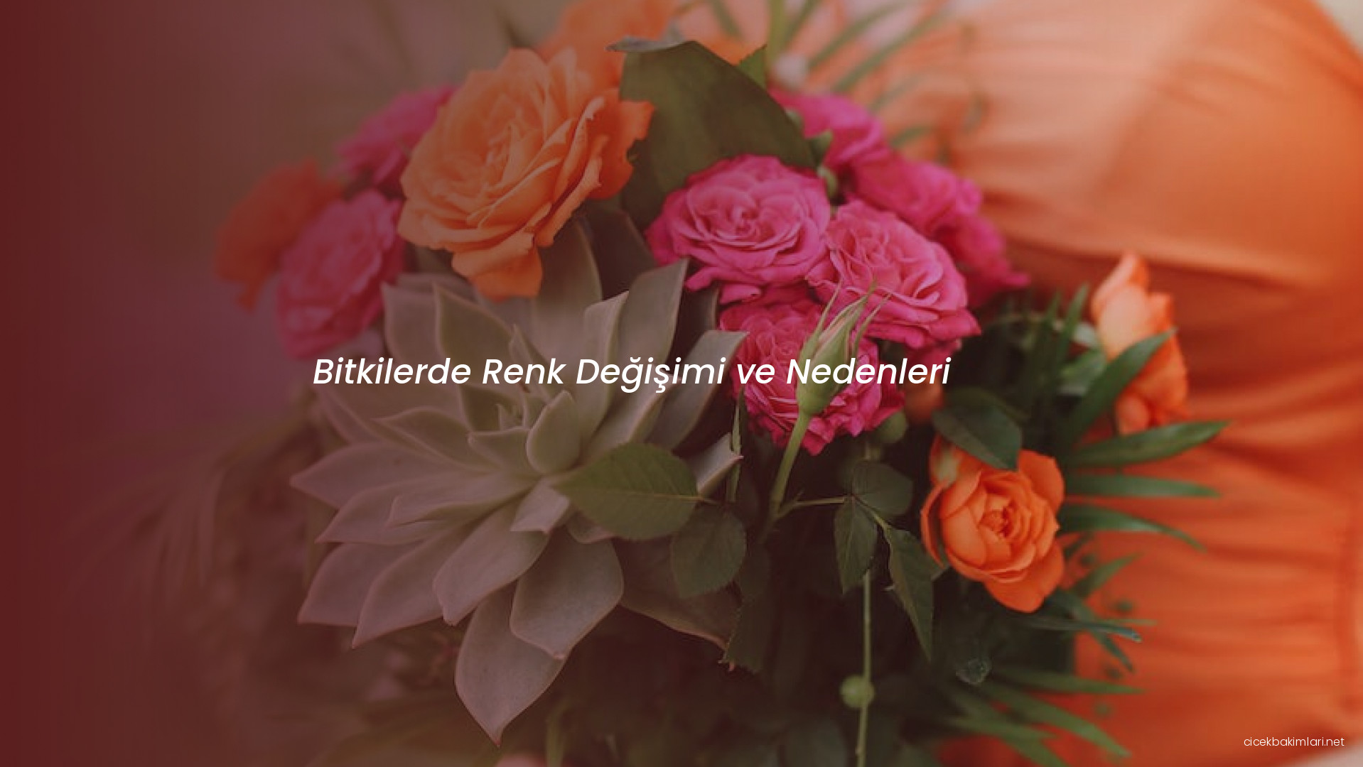 Bitkilerde Renk Değişimi ve Nedenleri