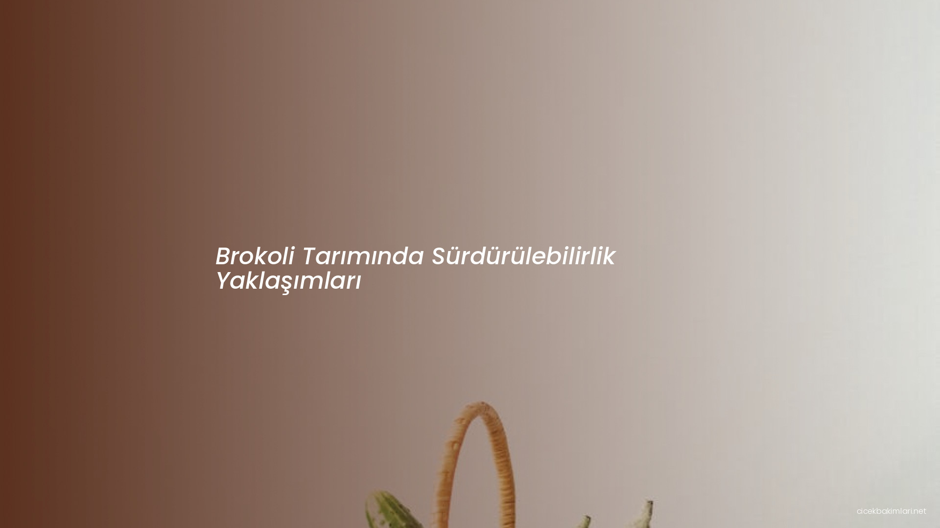 Brokoli Tarımında Sürdürülebilirlik Yaklaşımları