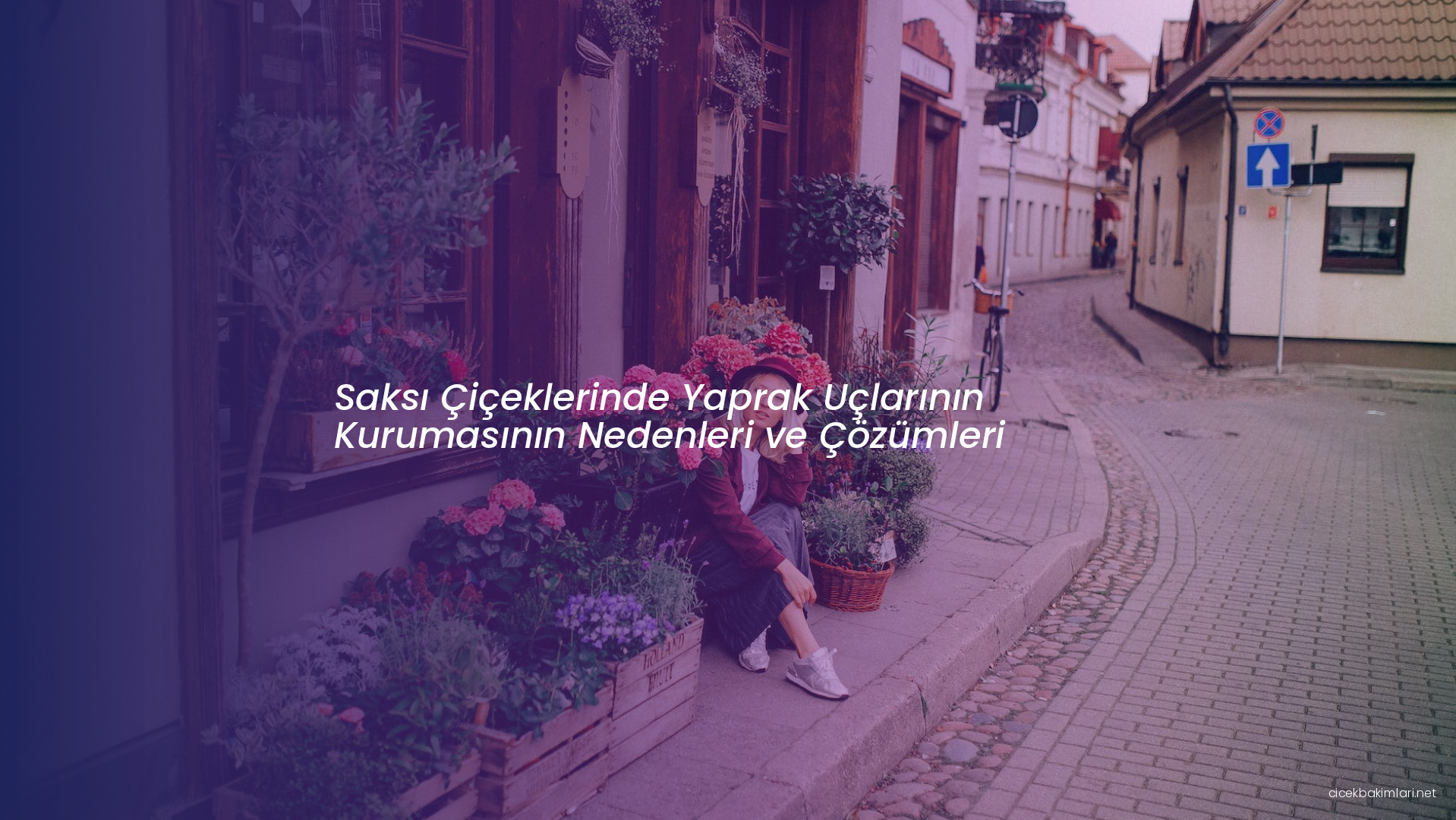 Saksı Çiçeklerinde Yaprak Uçlarının Kurumasının Nedenleri ve Çözümleri